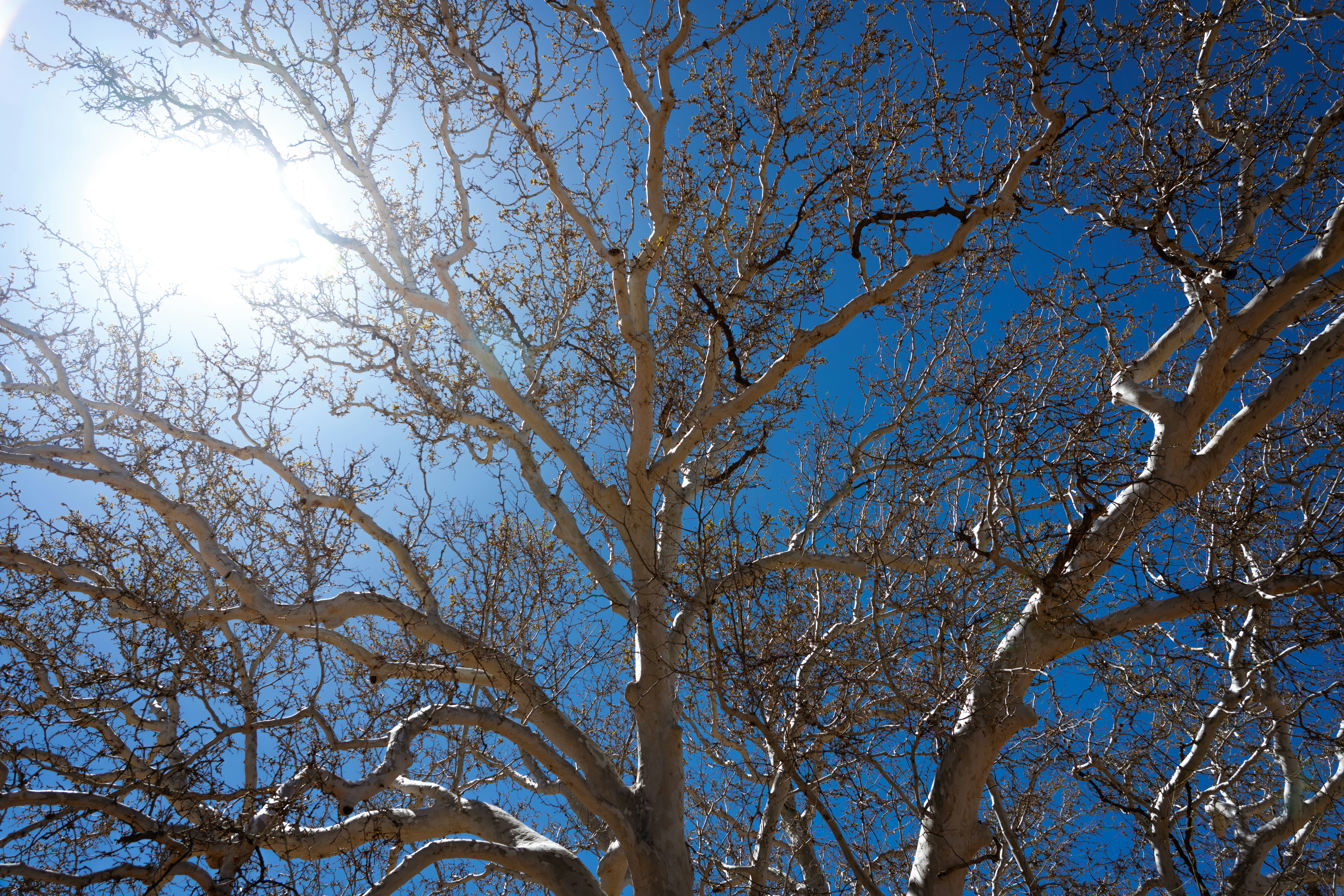 Photo by nicklarovere