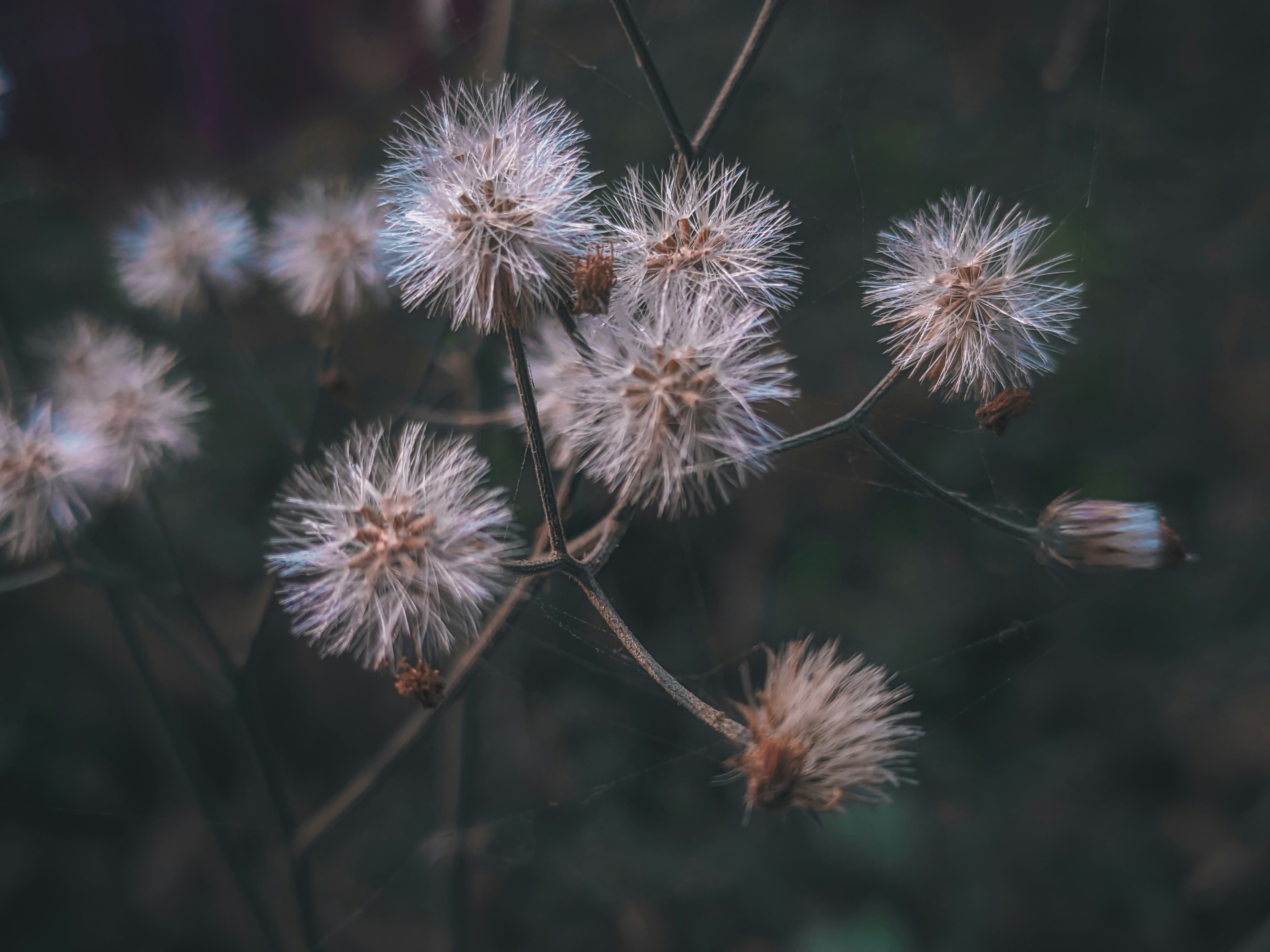 Photo by sujaypaulsp