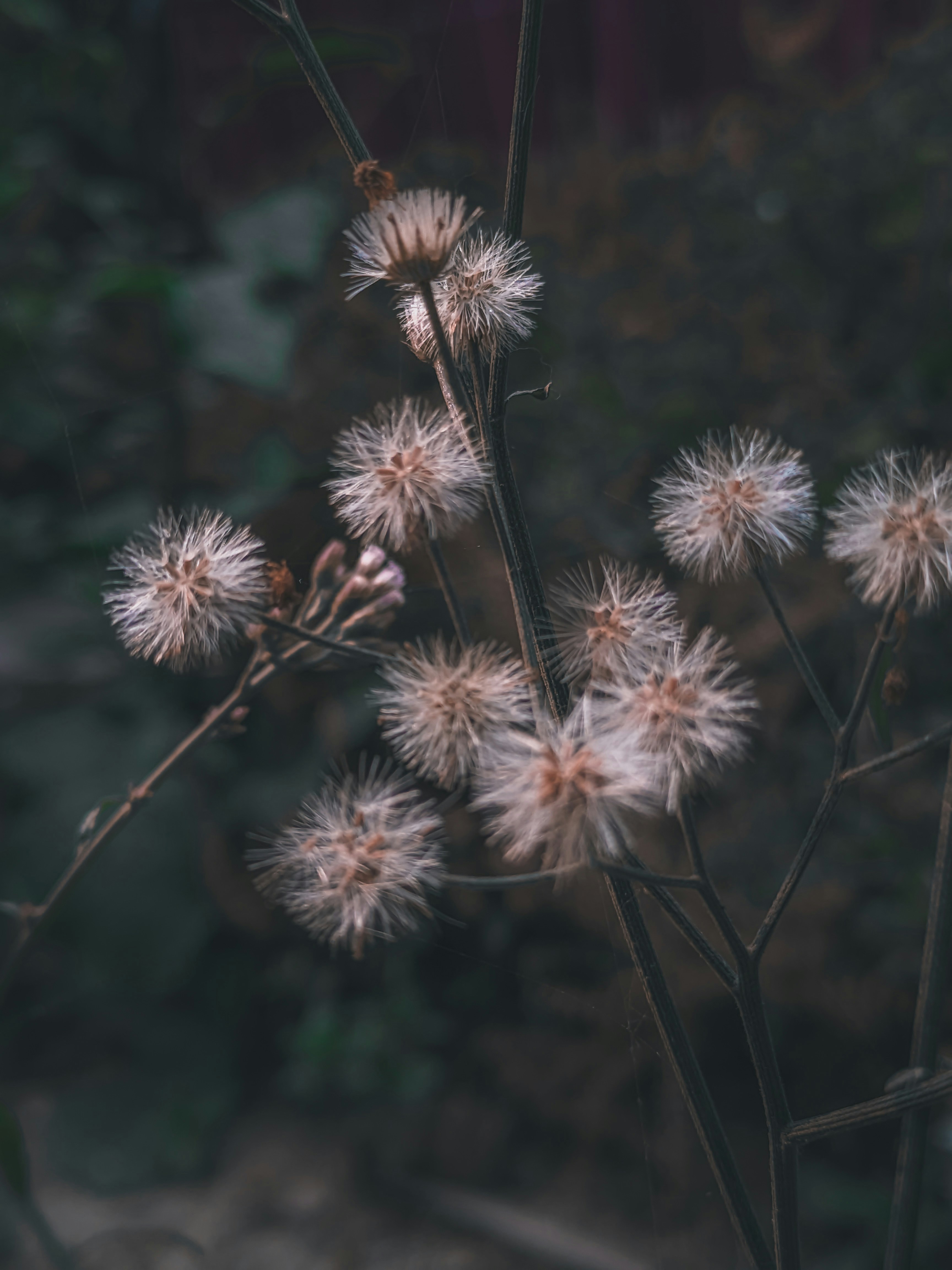 Photo by sujaypaulsp