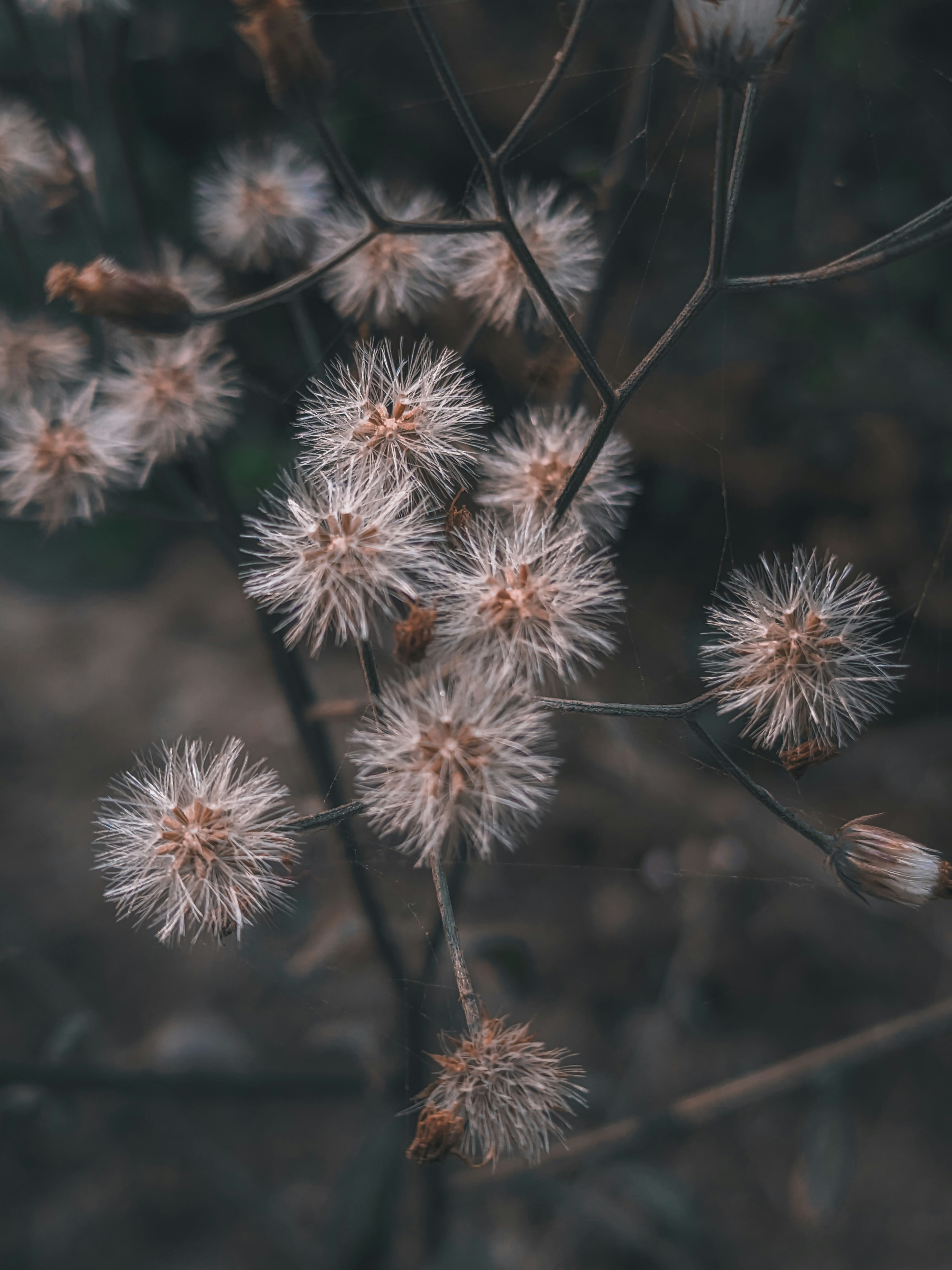 Photo by sujaypaulsp