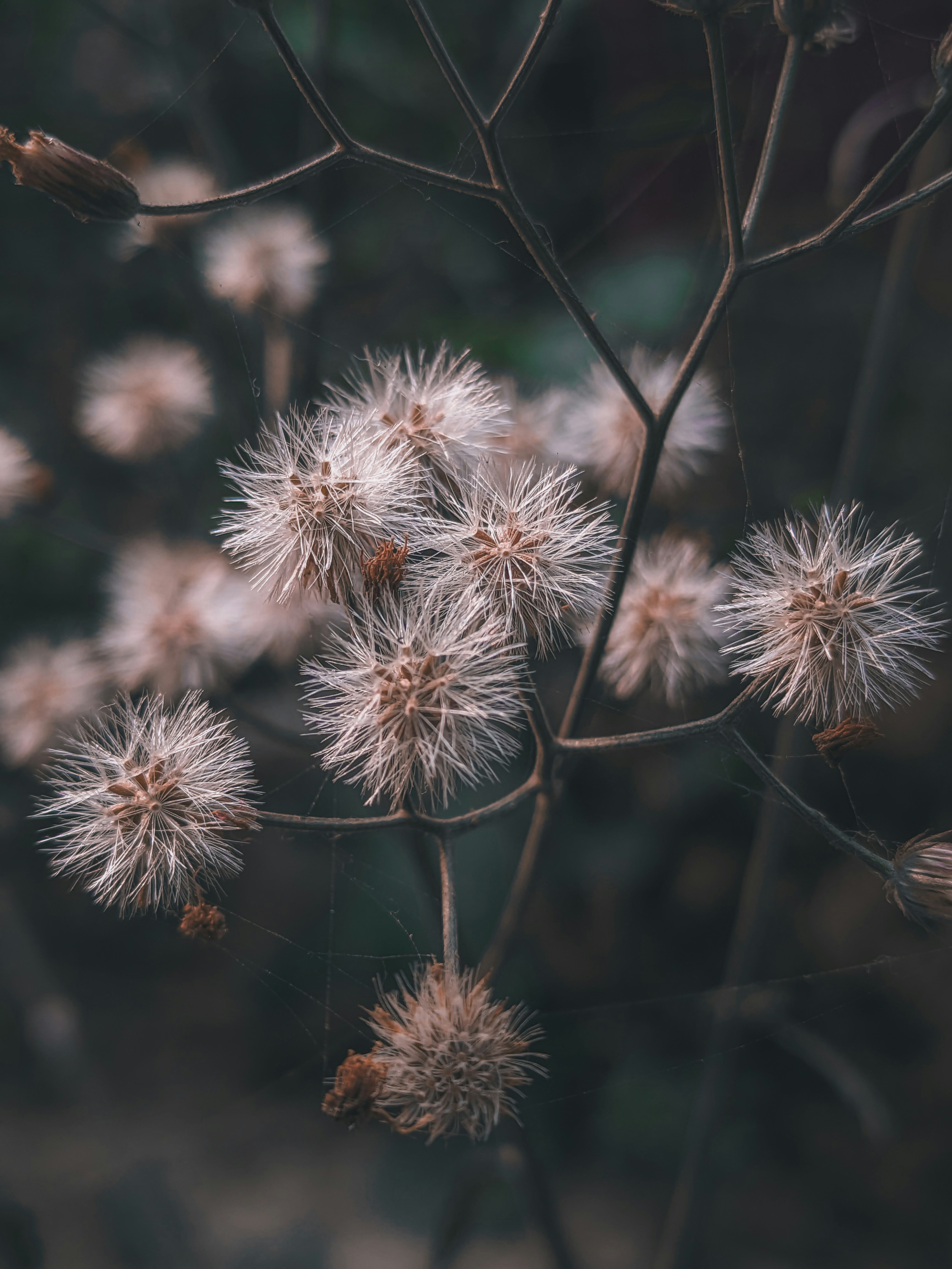 Photo by sujaypaulsp