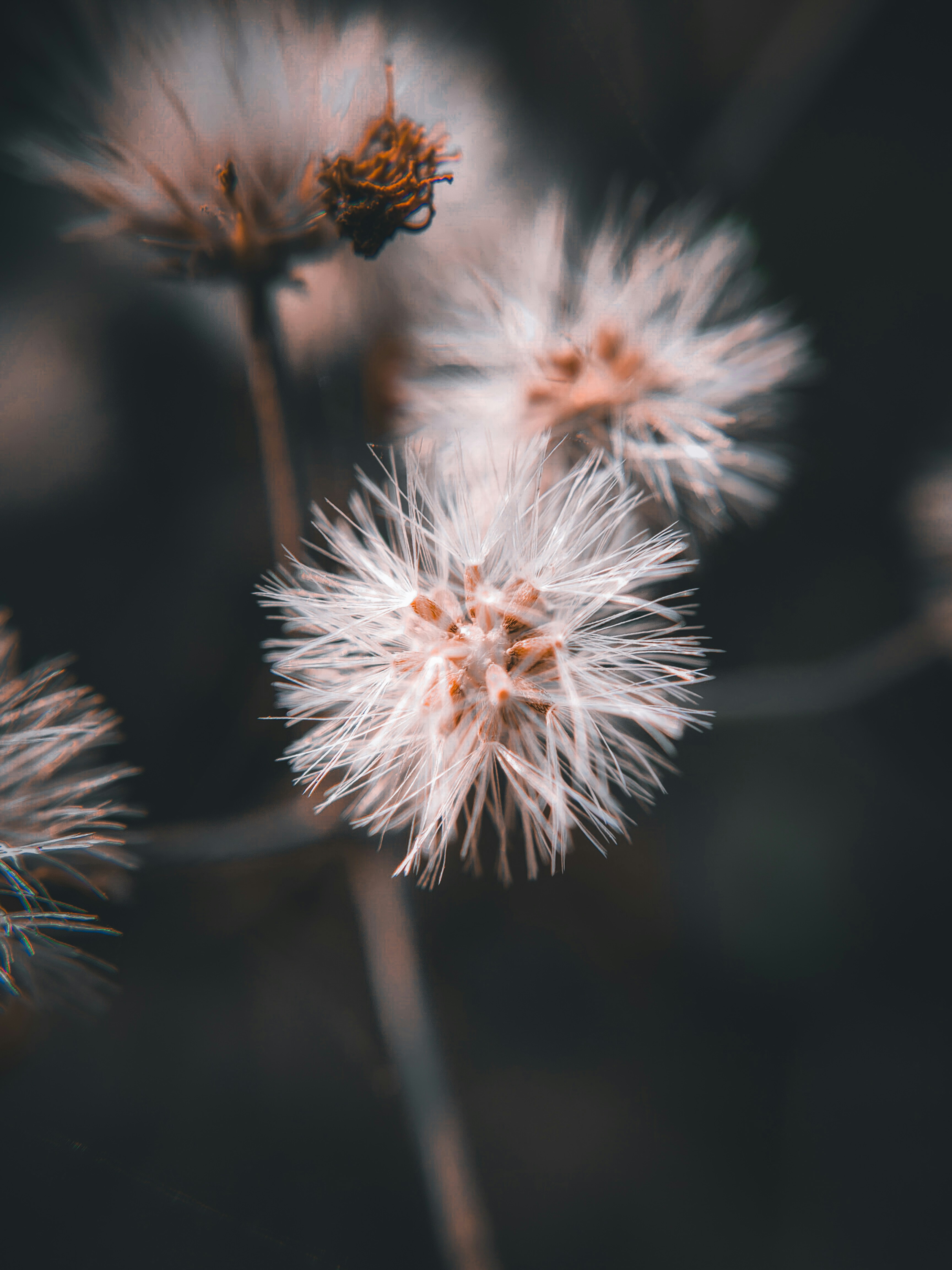 Photo by sujaypaulsp