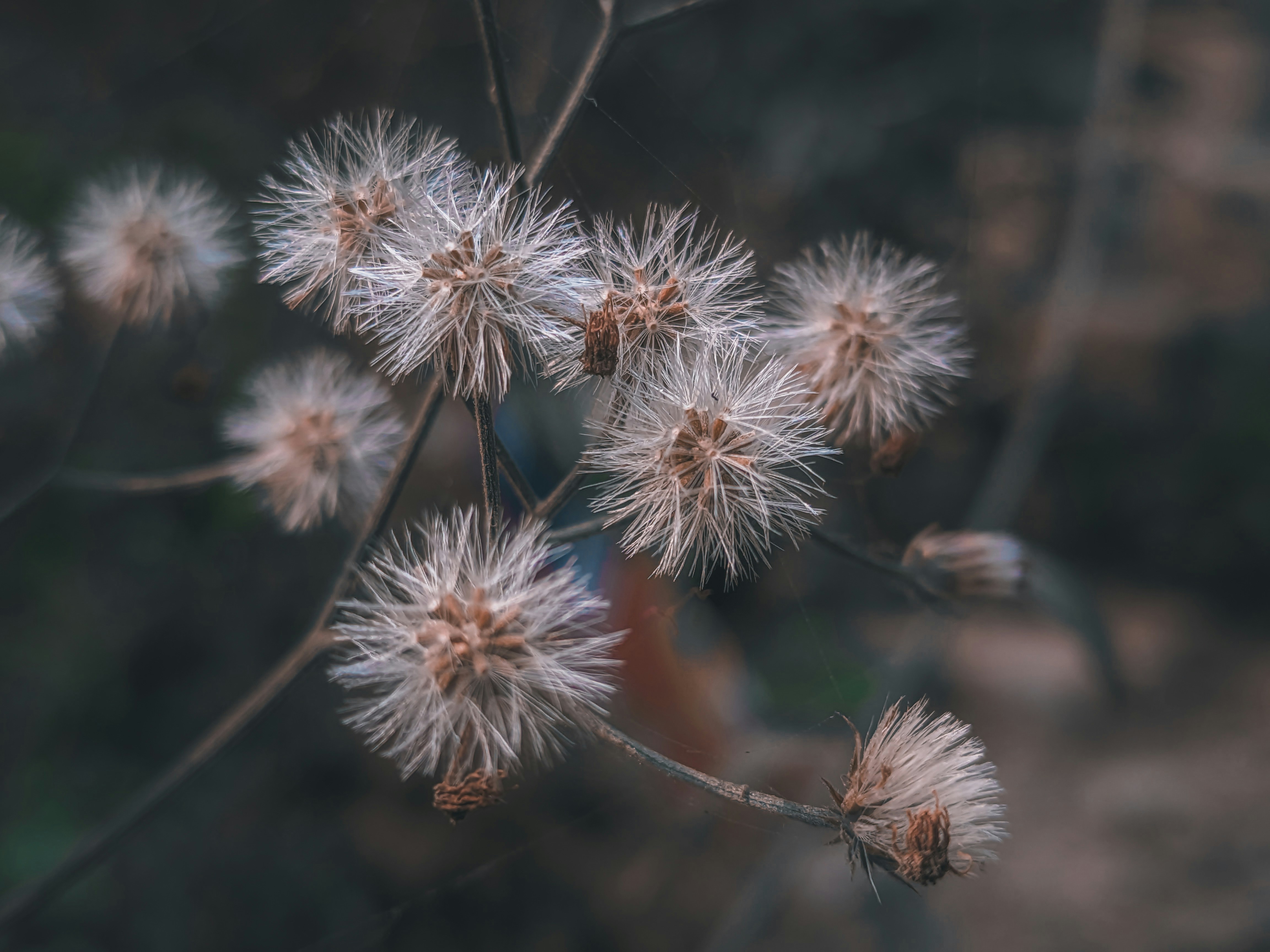 Photo by sujaypaulsp