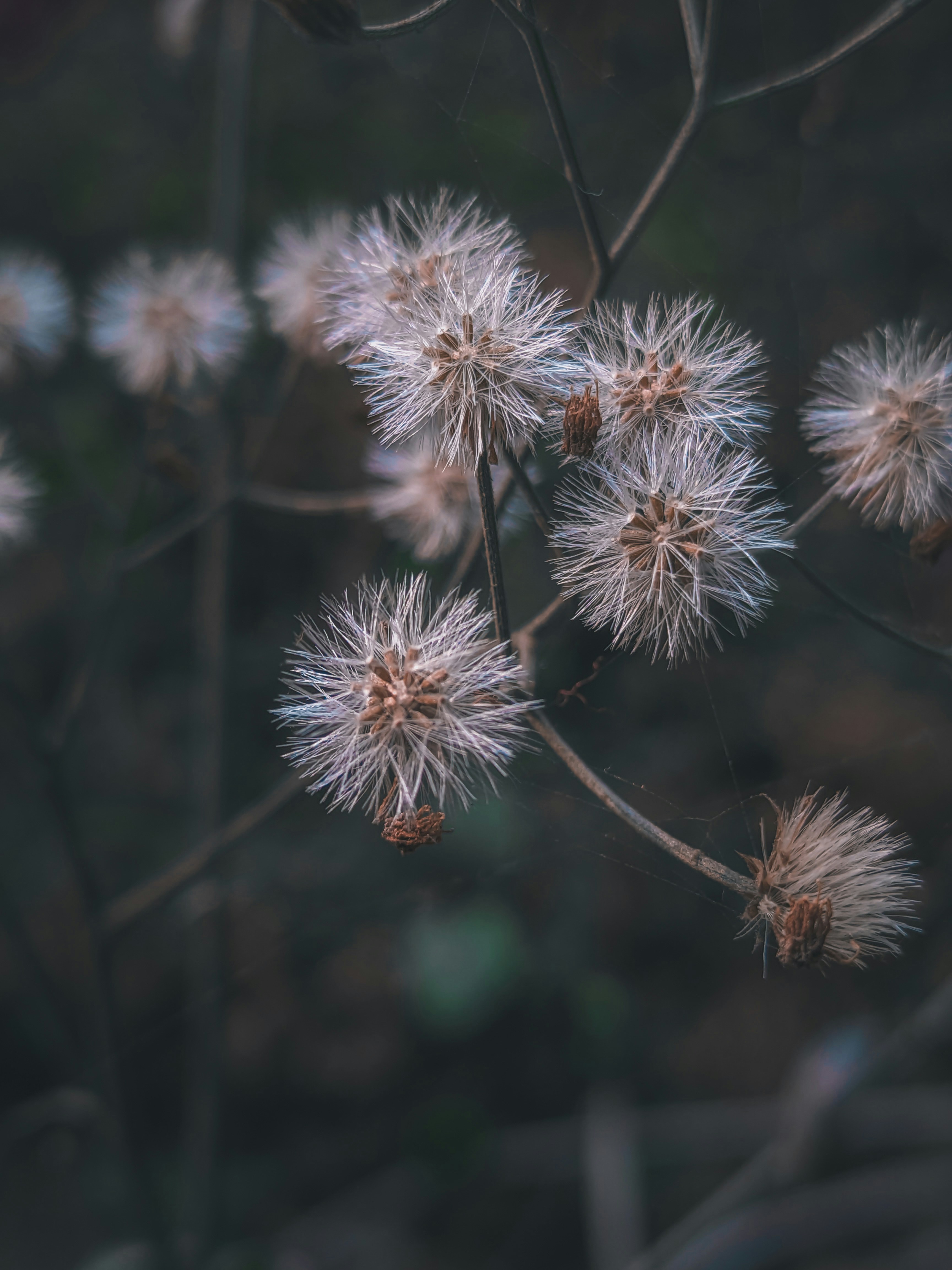 Photo by sujaypaulsp