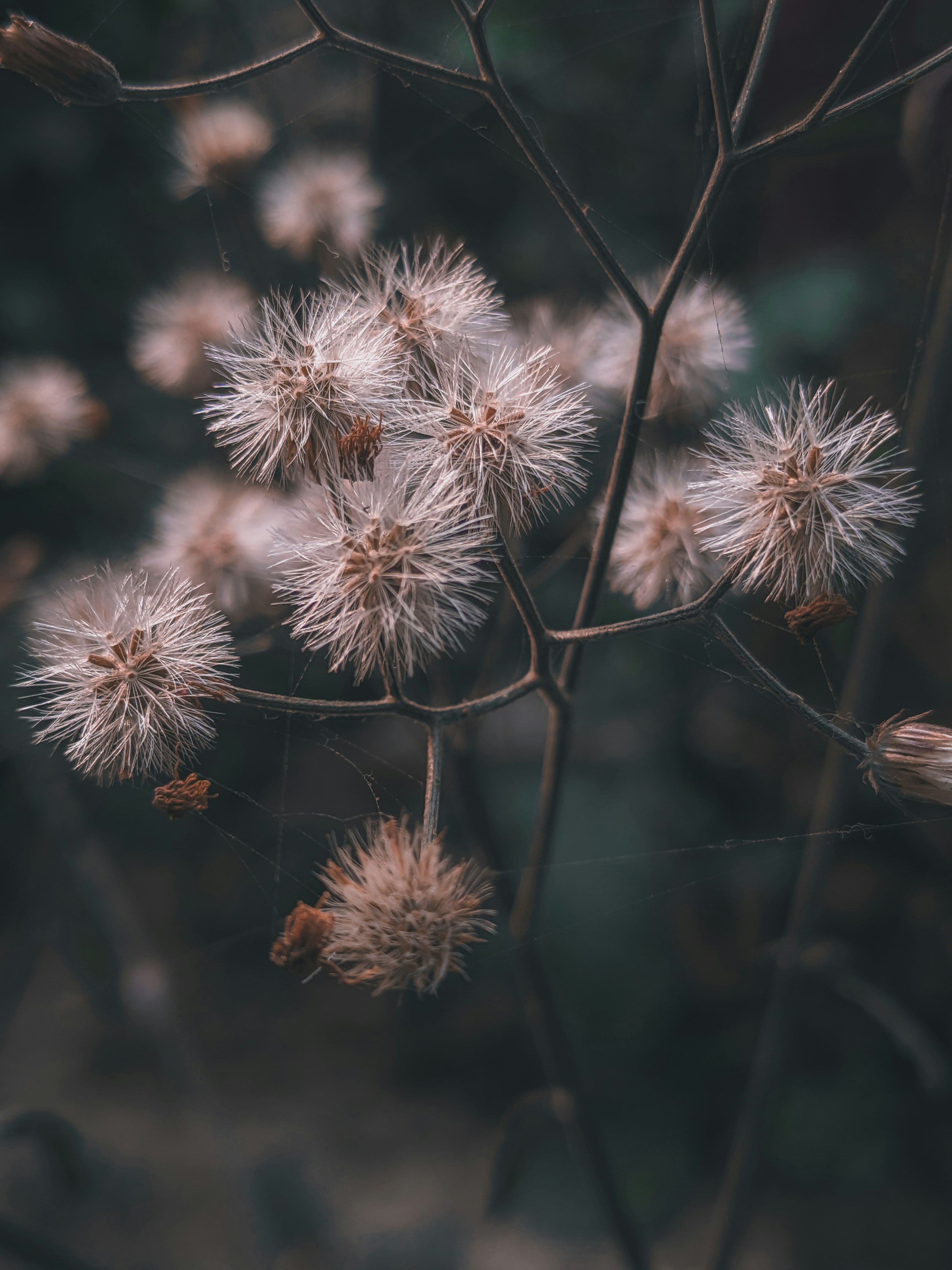 Photo by sujaypaulsp