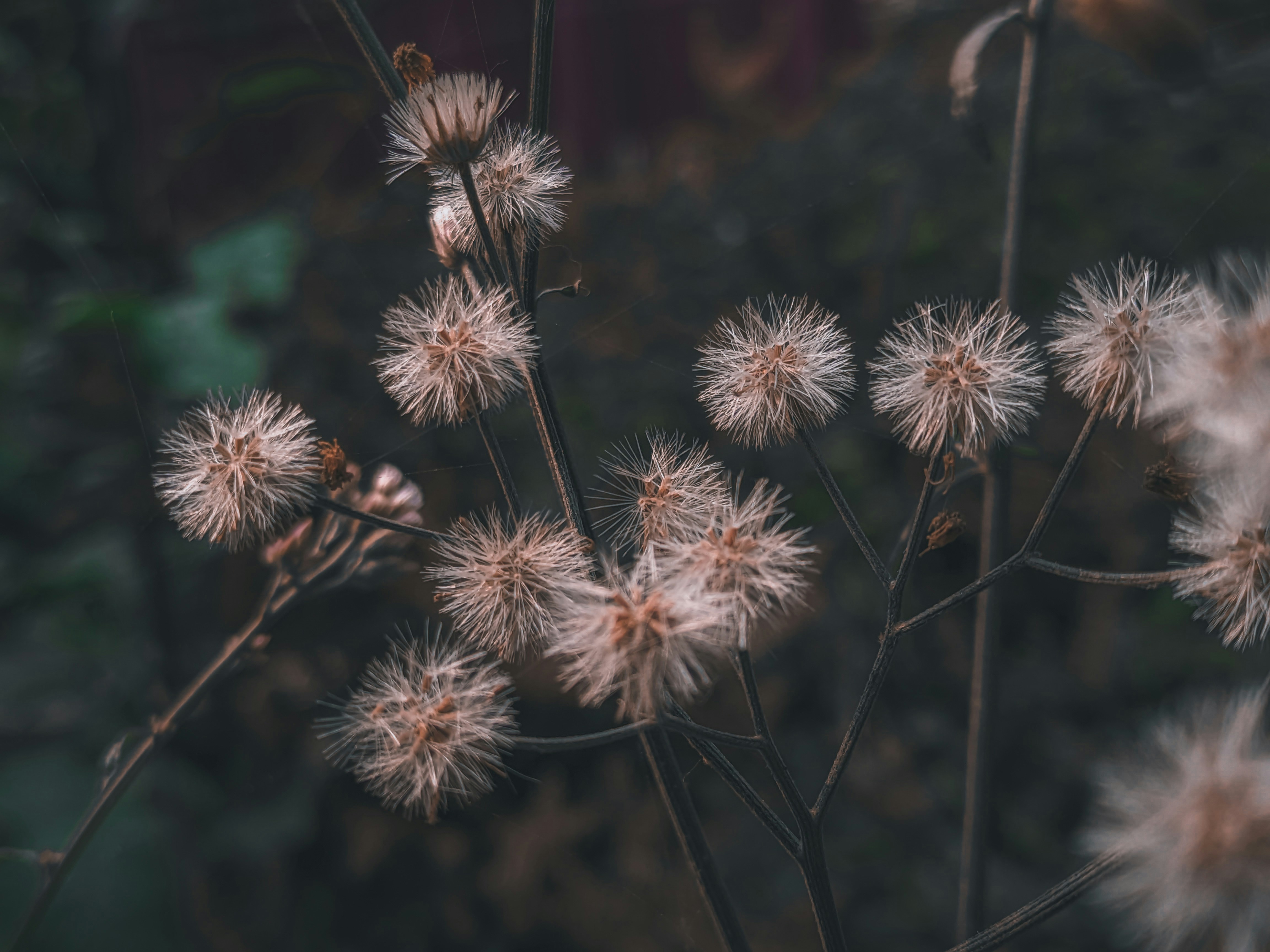 Photo by sujaypaulsp