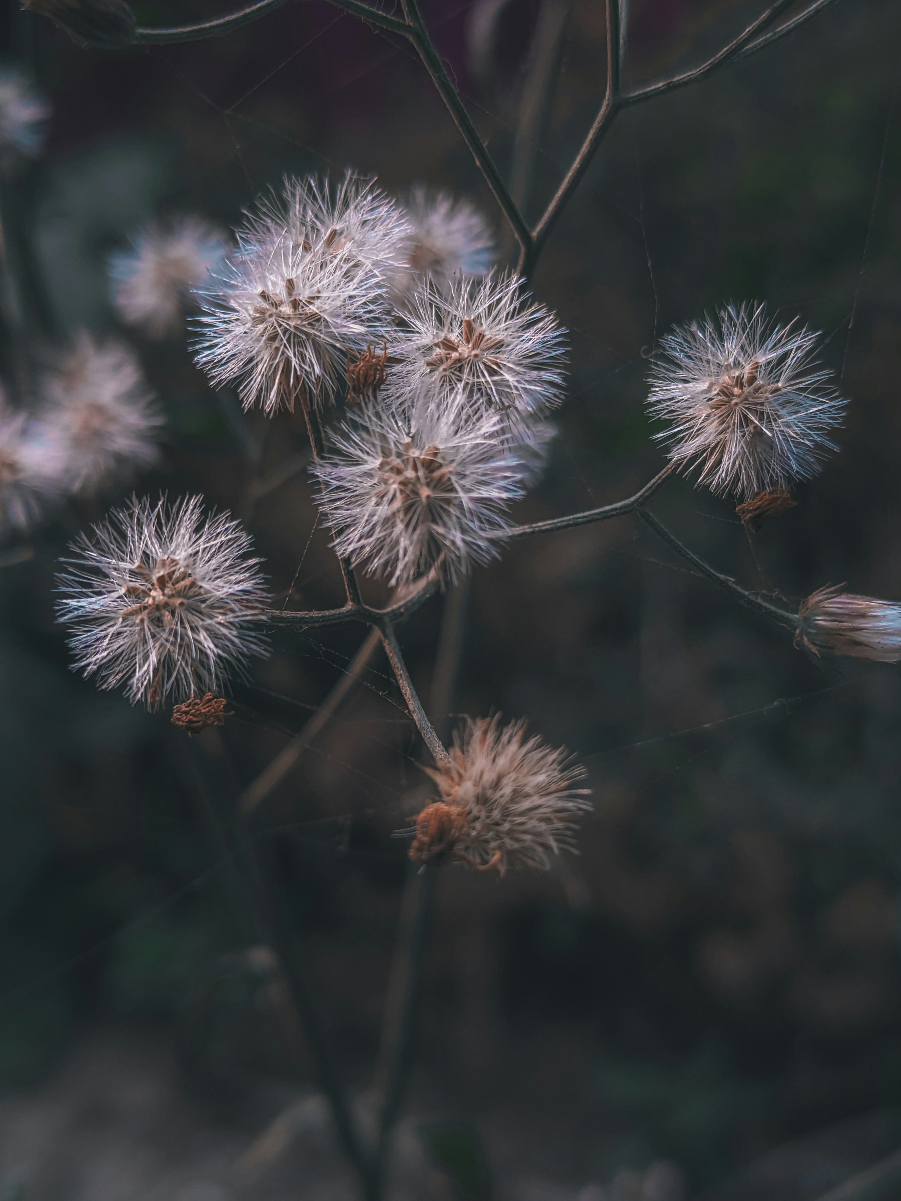 Photo by sujaypaulsp