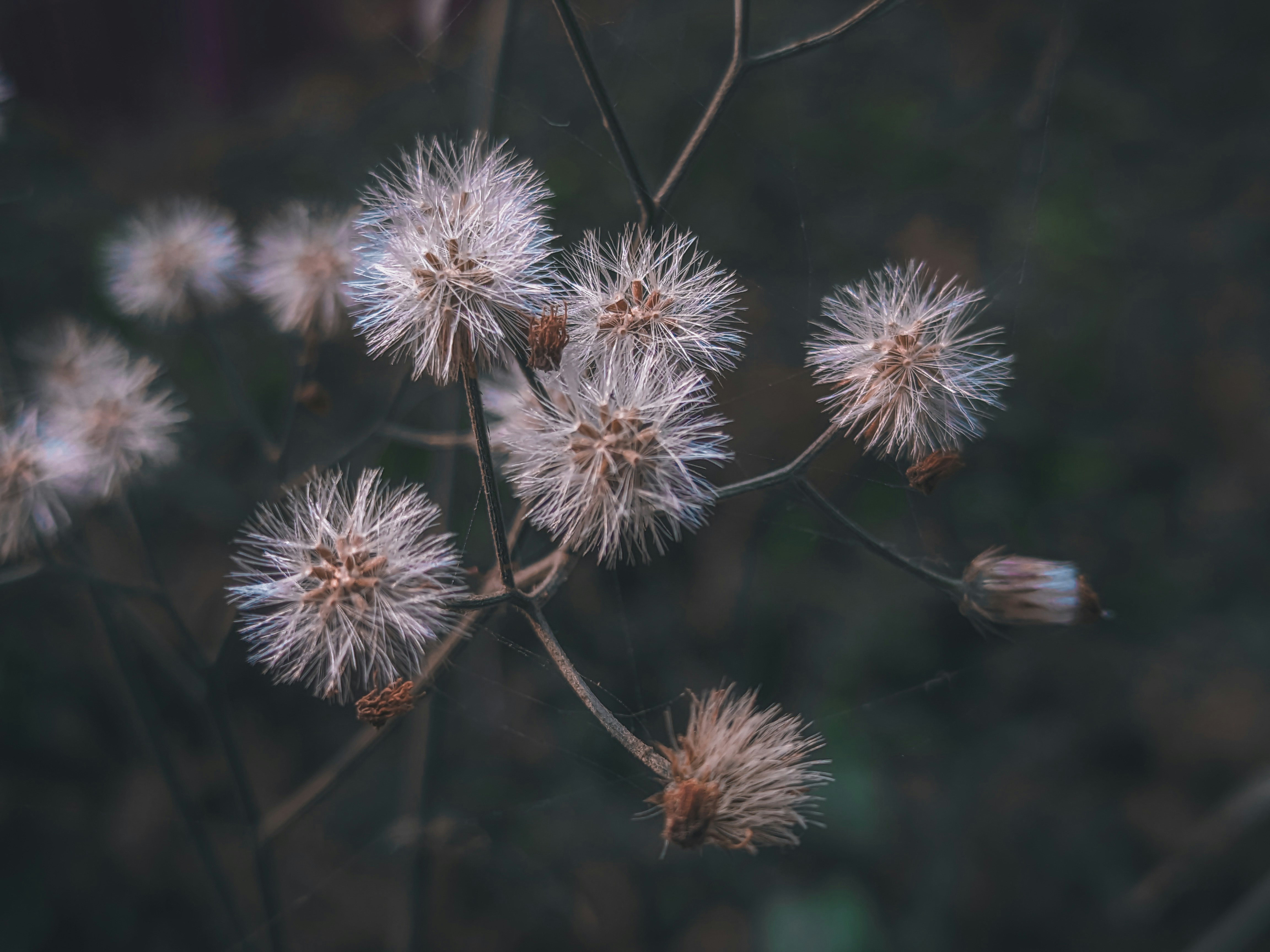 Photo by sujaypaulsp