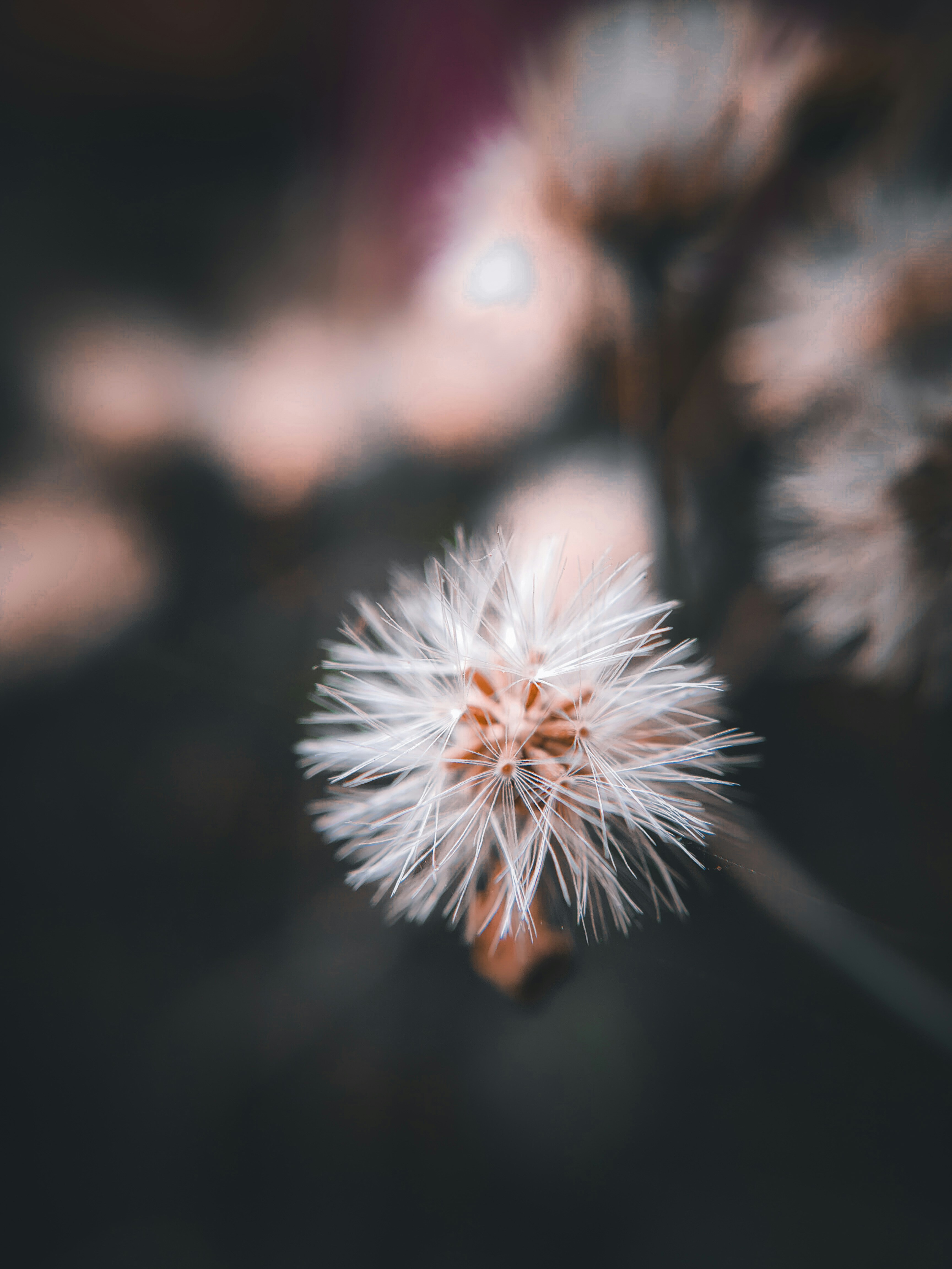 Photo by sujaypaulsp