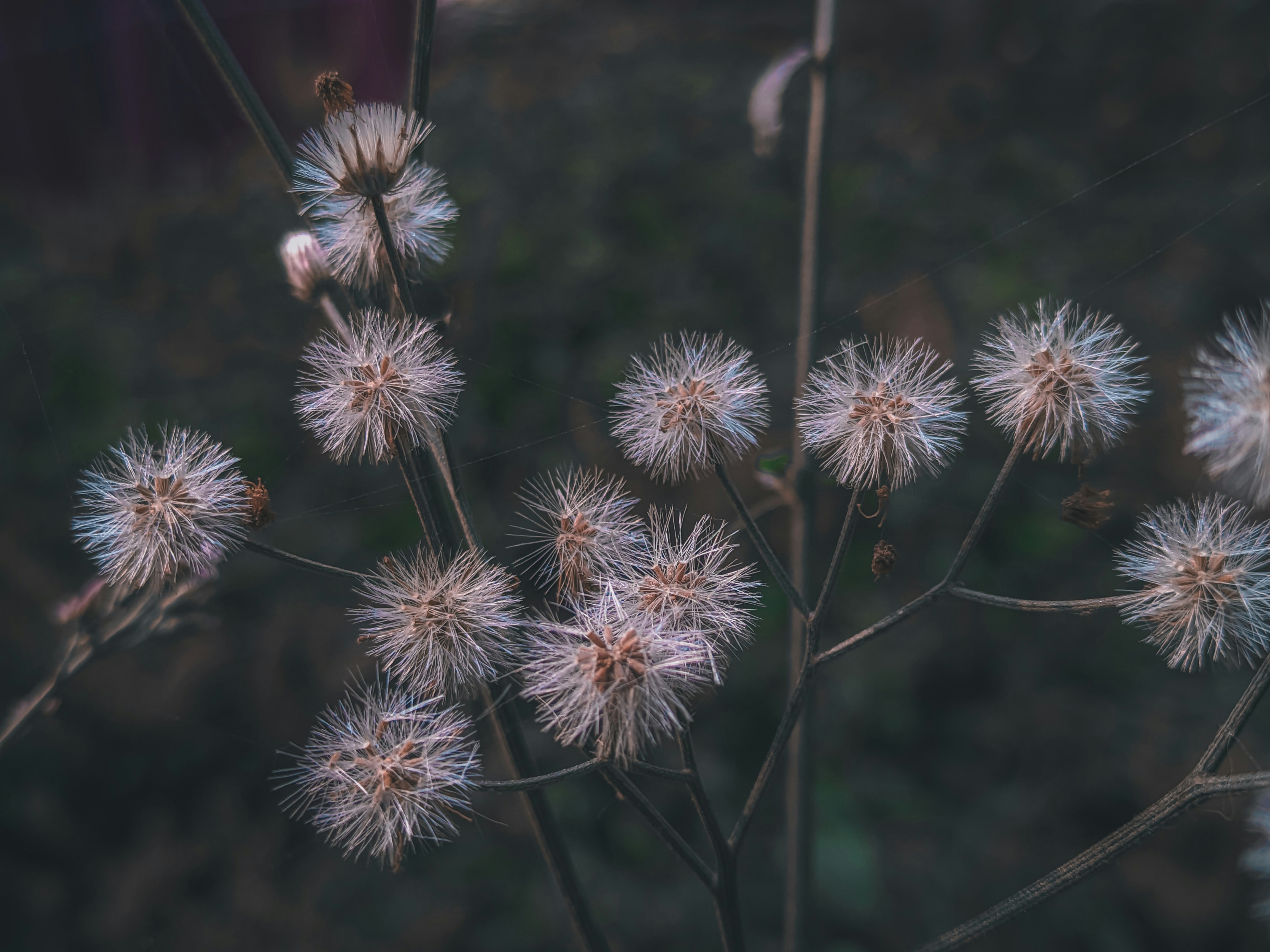 Photo by sujaypaulsp