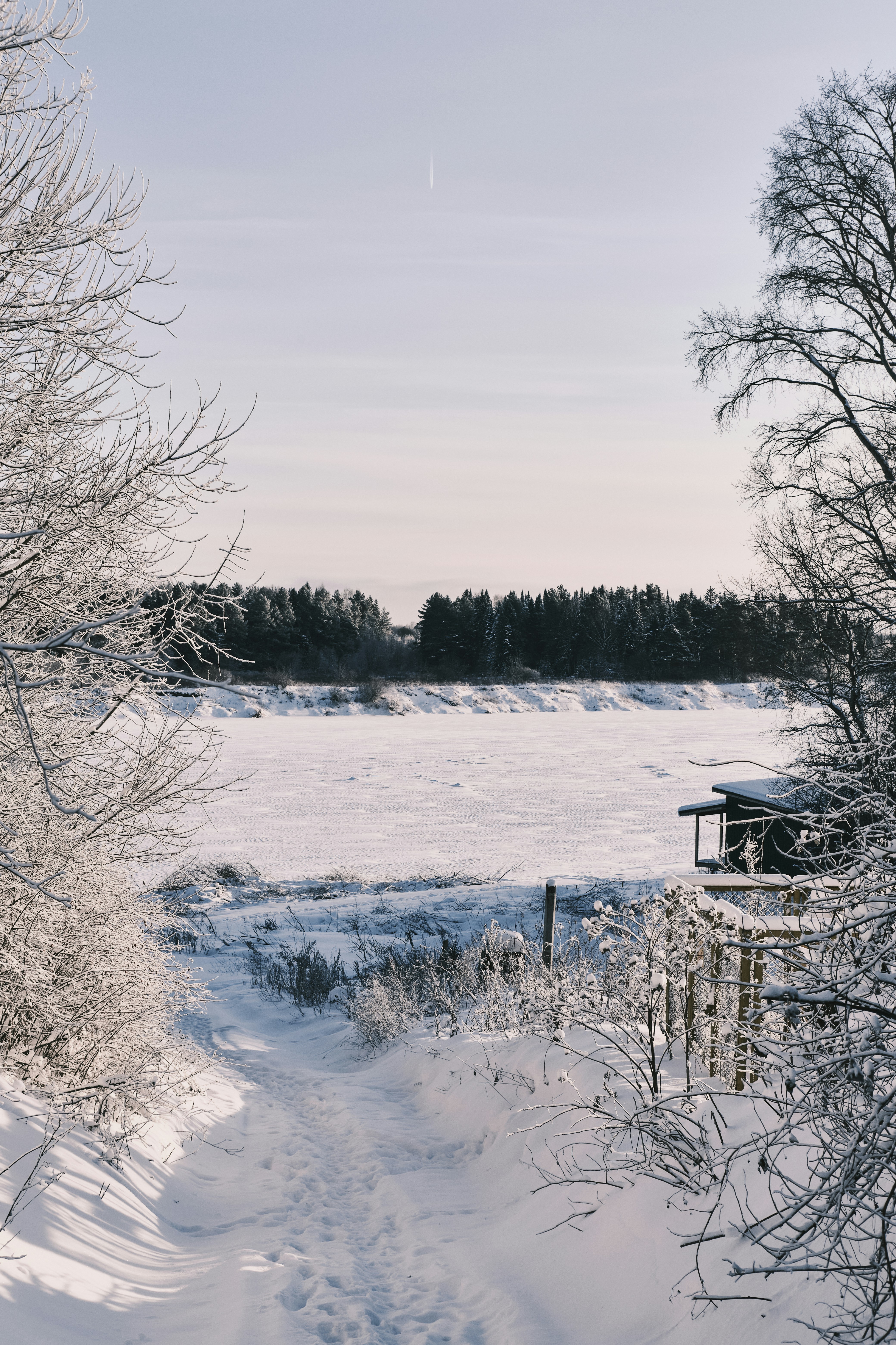 Photo by kazusaki_sagar