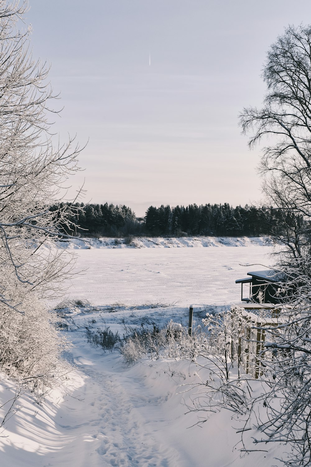 a snow covered field with trees and a fence