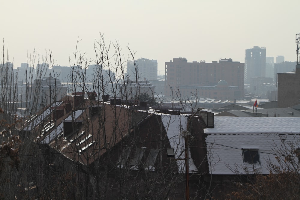 a view of a city from a distance