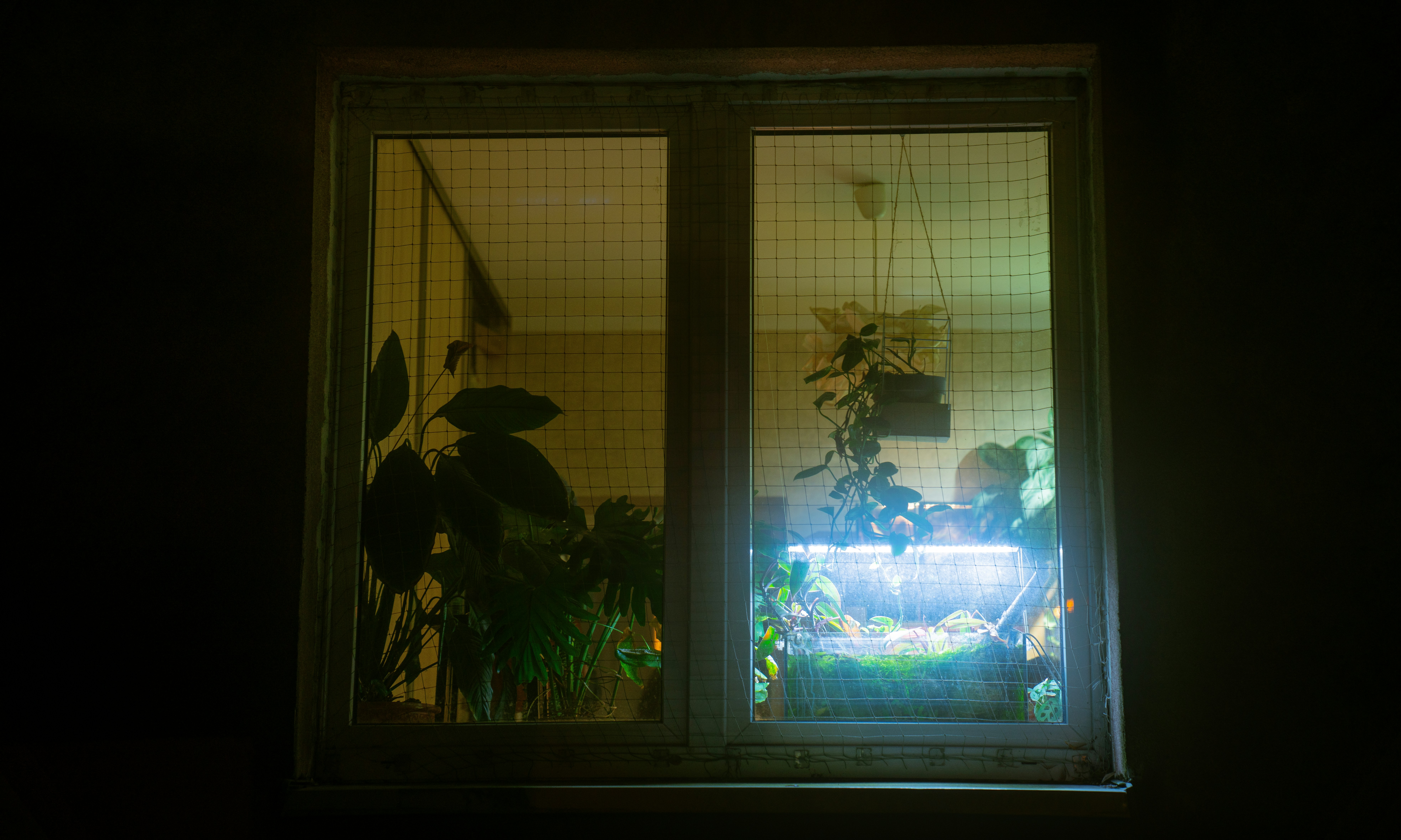 Photo by nicklarovere