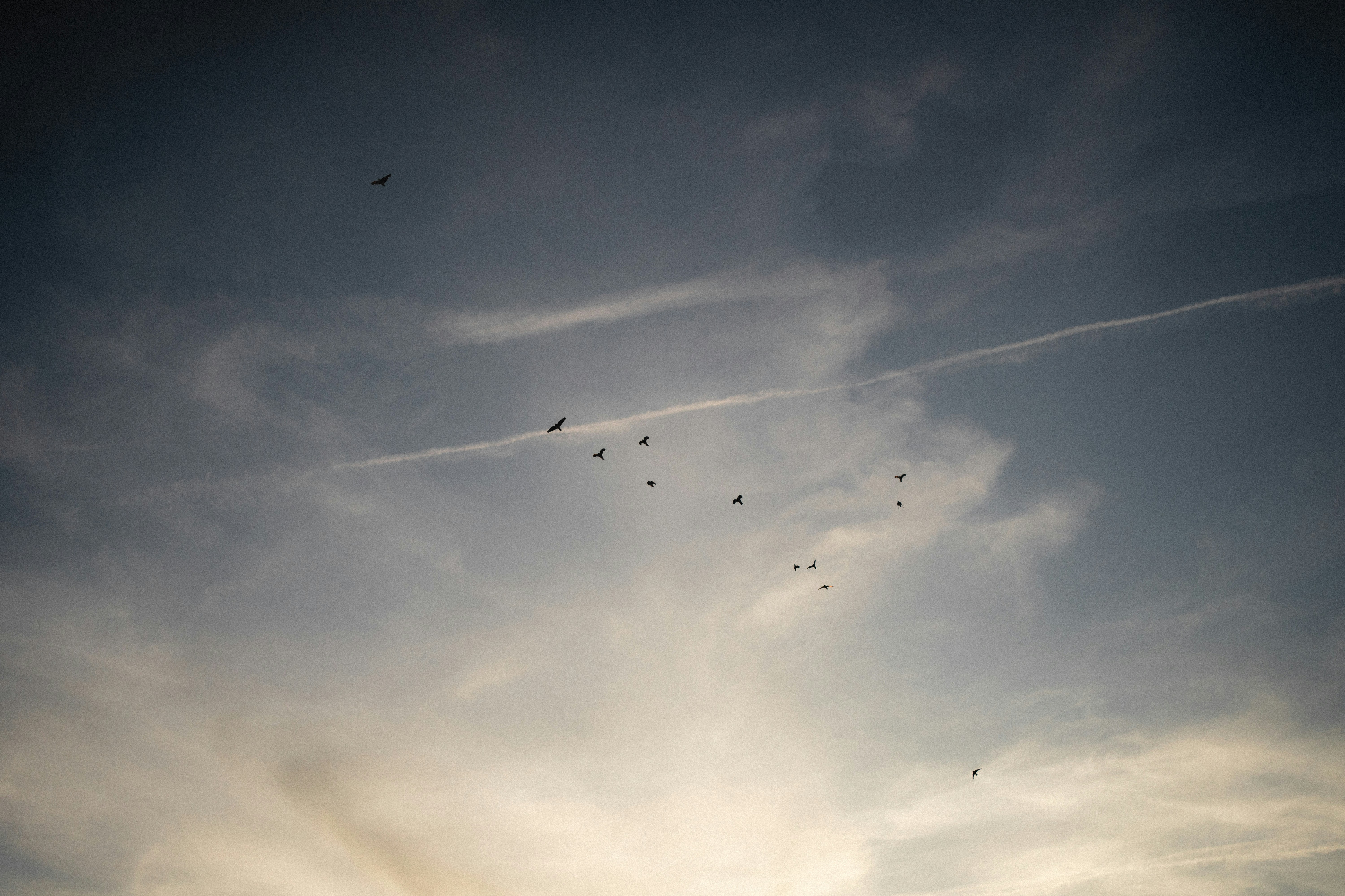 Photo by juanmaroggia