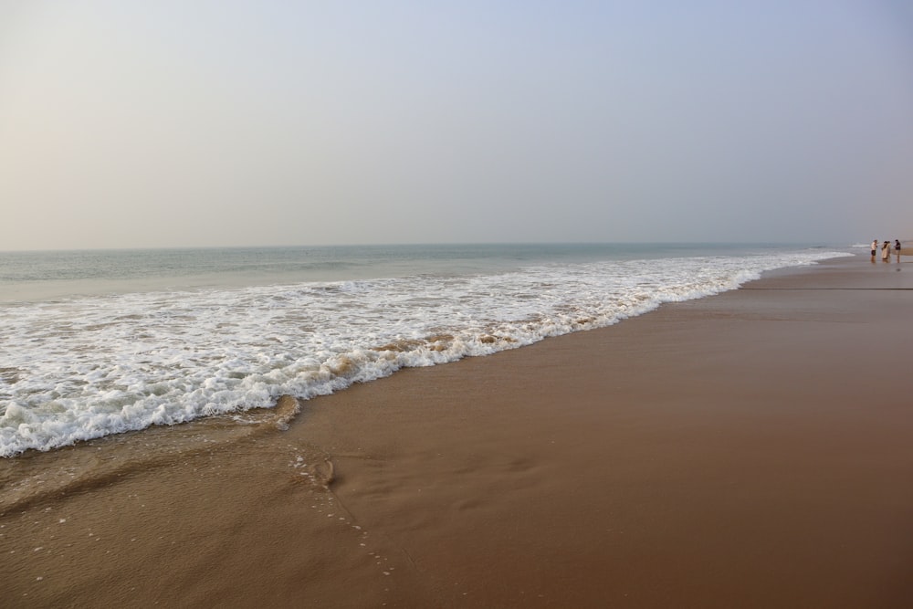 a couple of people walking along a beach next to the ocean