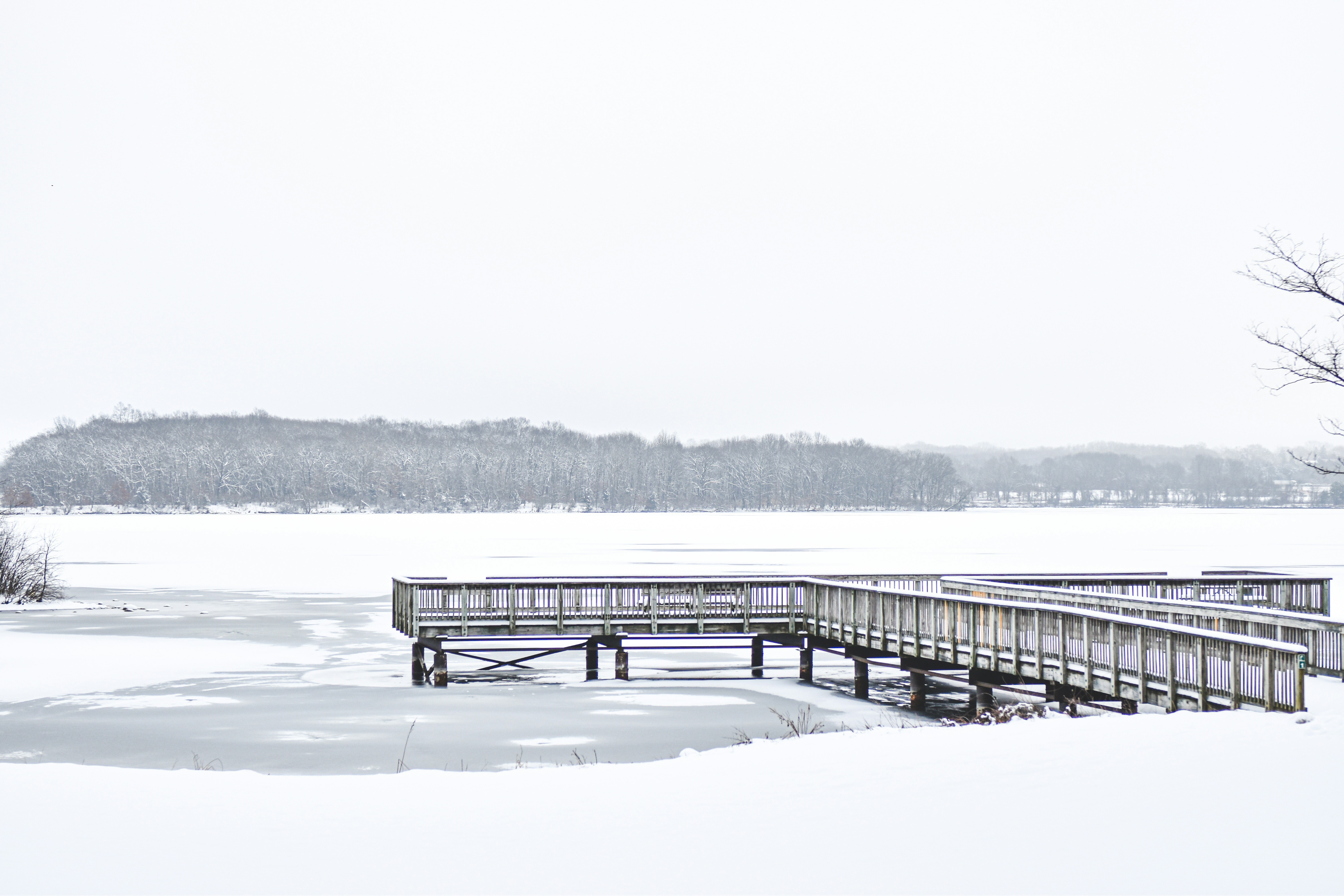 Photo by freefolkphoto