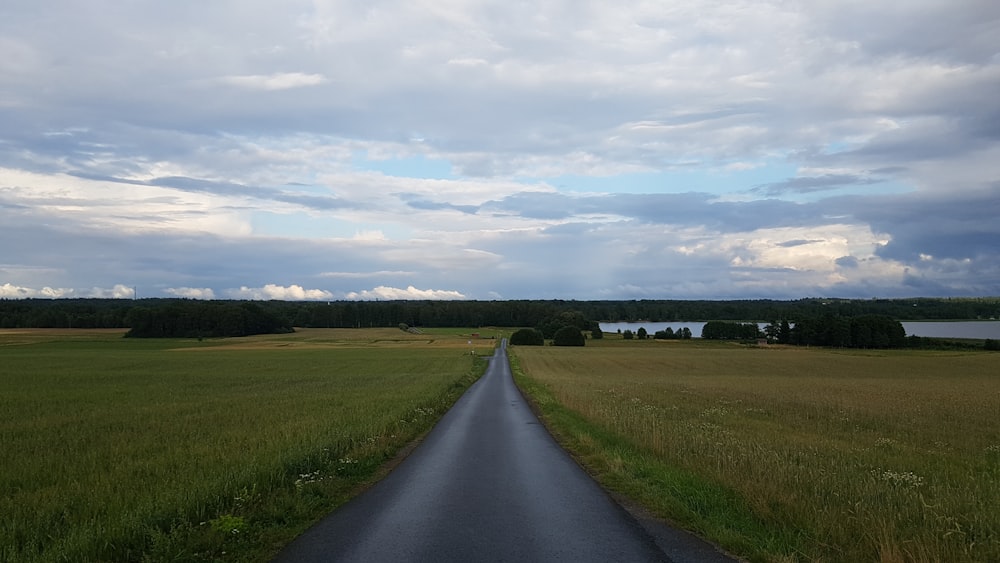 a road going through a field with a body of water in the distance