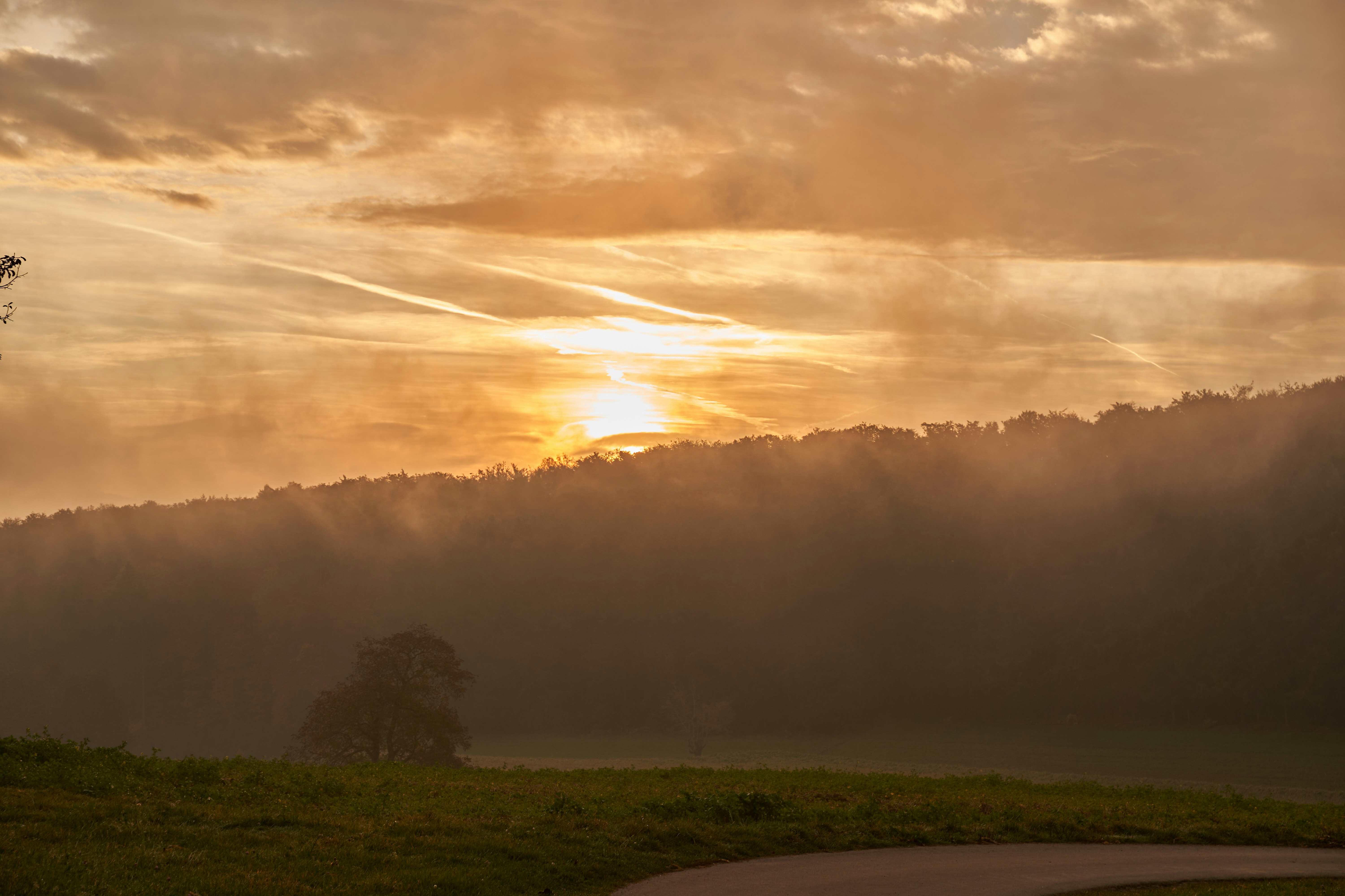 Photo by wolfgang_hasselmann