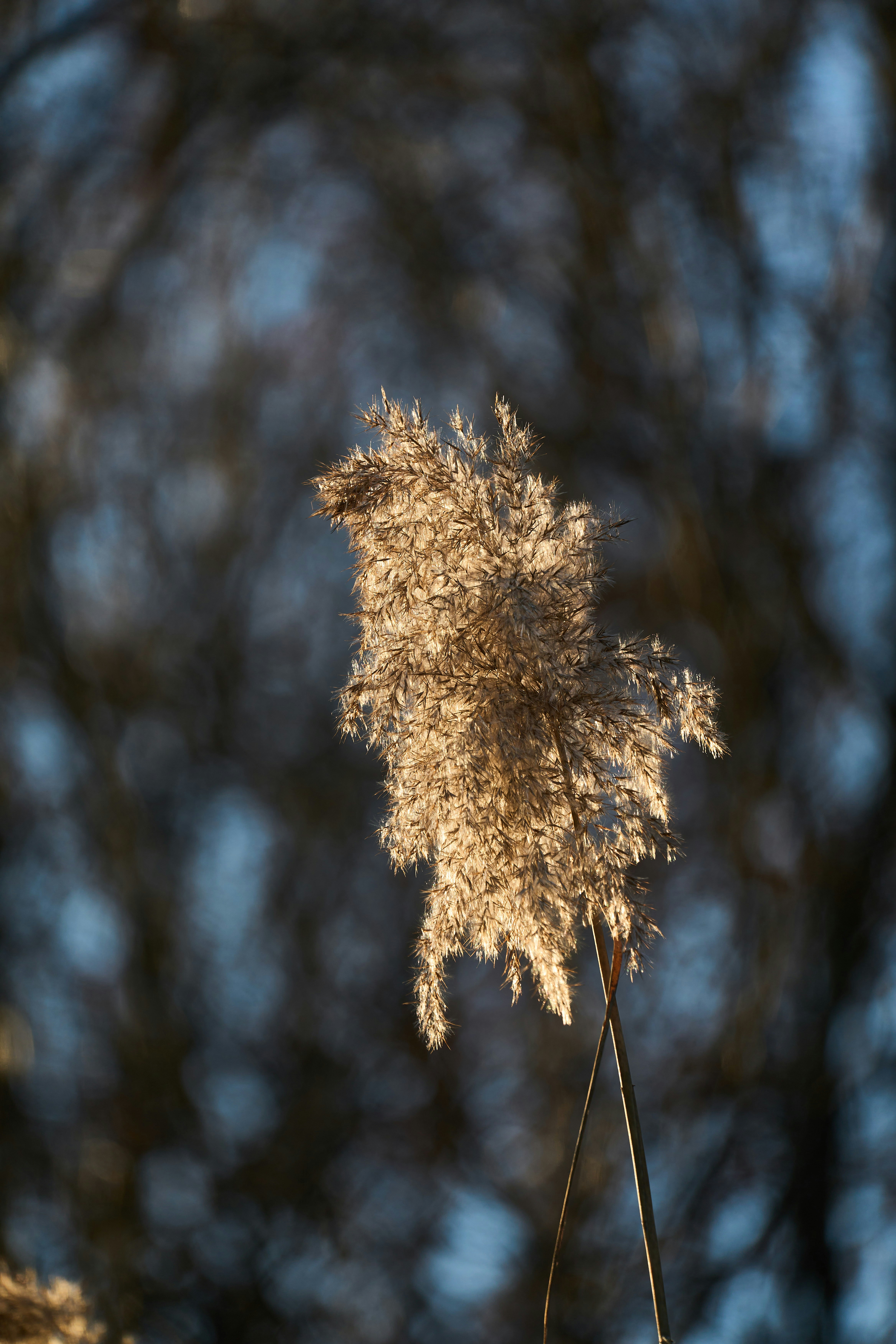뉴발란스 윈터브리즈 기간 관련 이미지2
