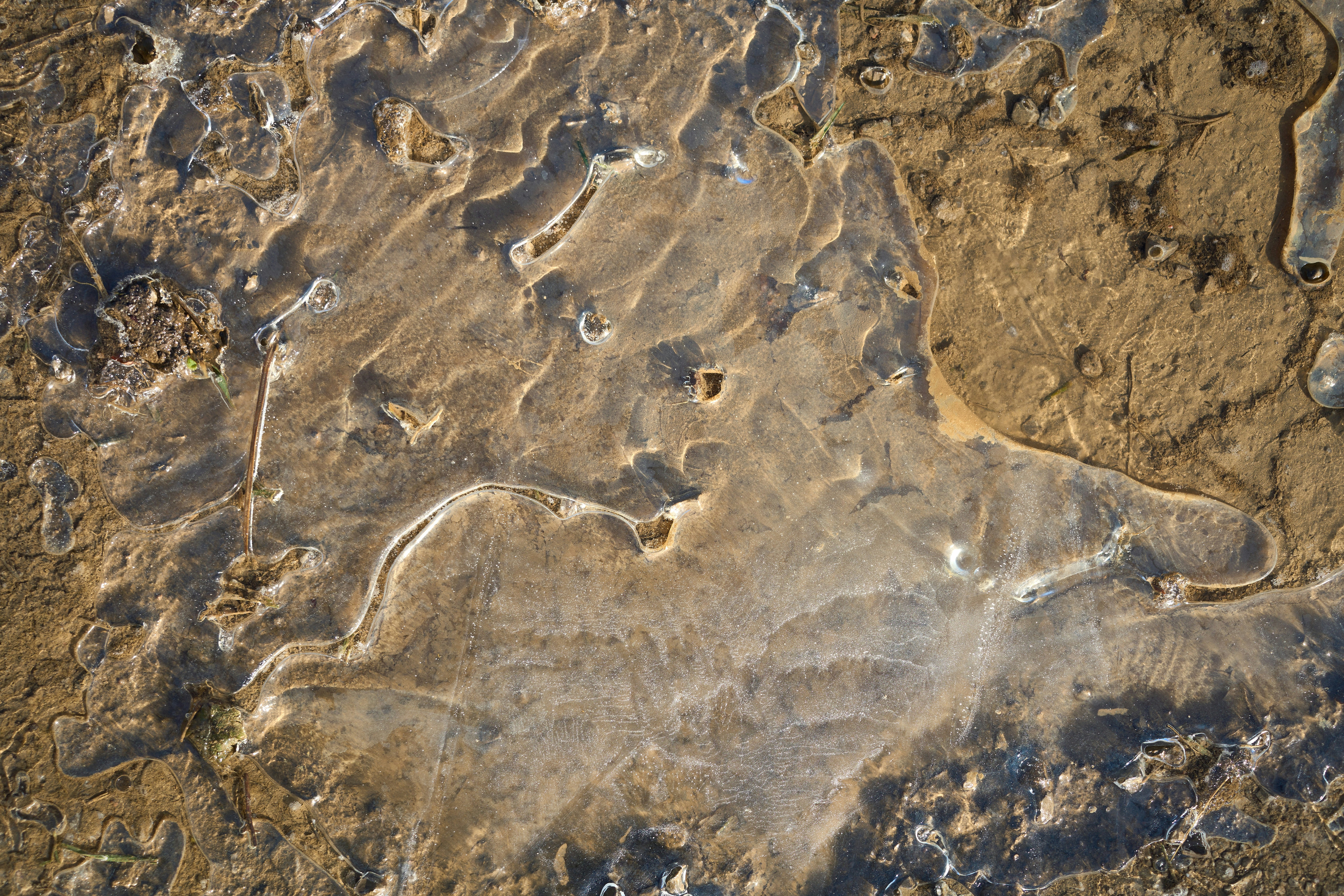 Photo by wolfgang_hasselmann