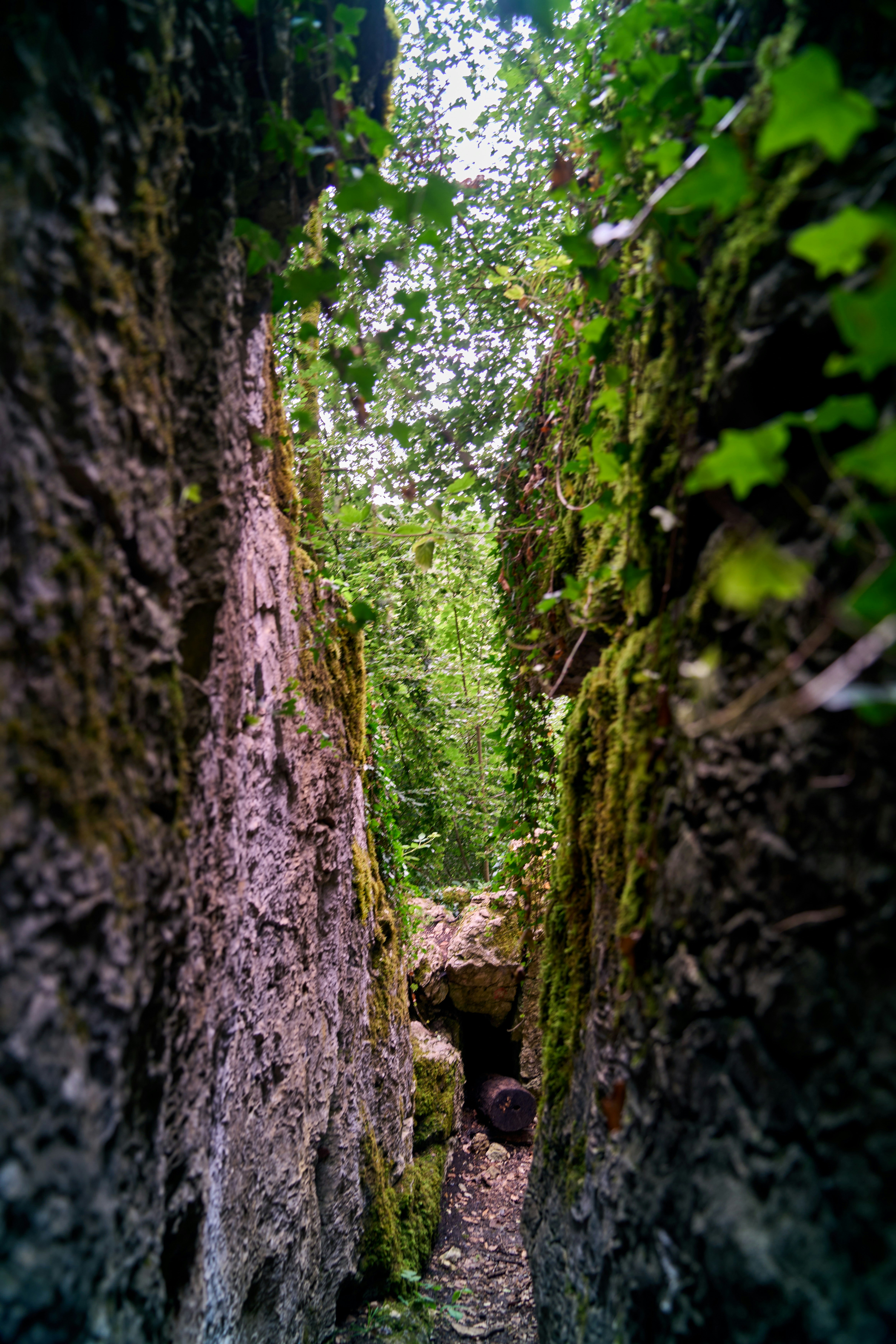 Photo by wolfgang_hasselmann