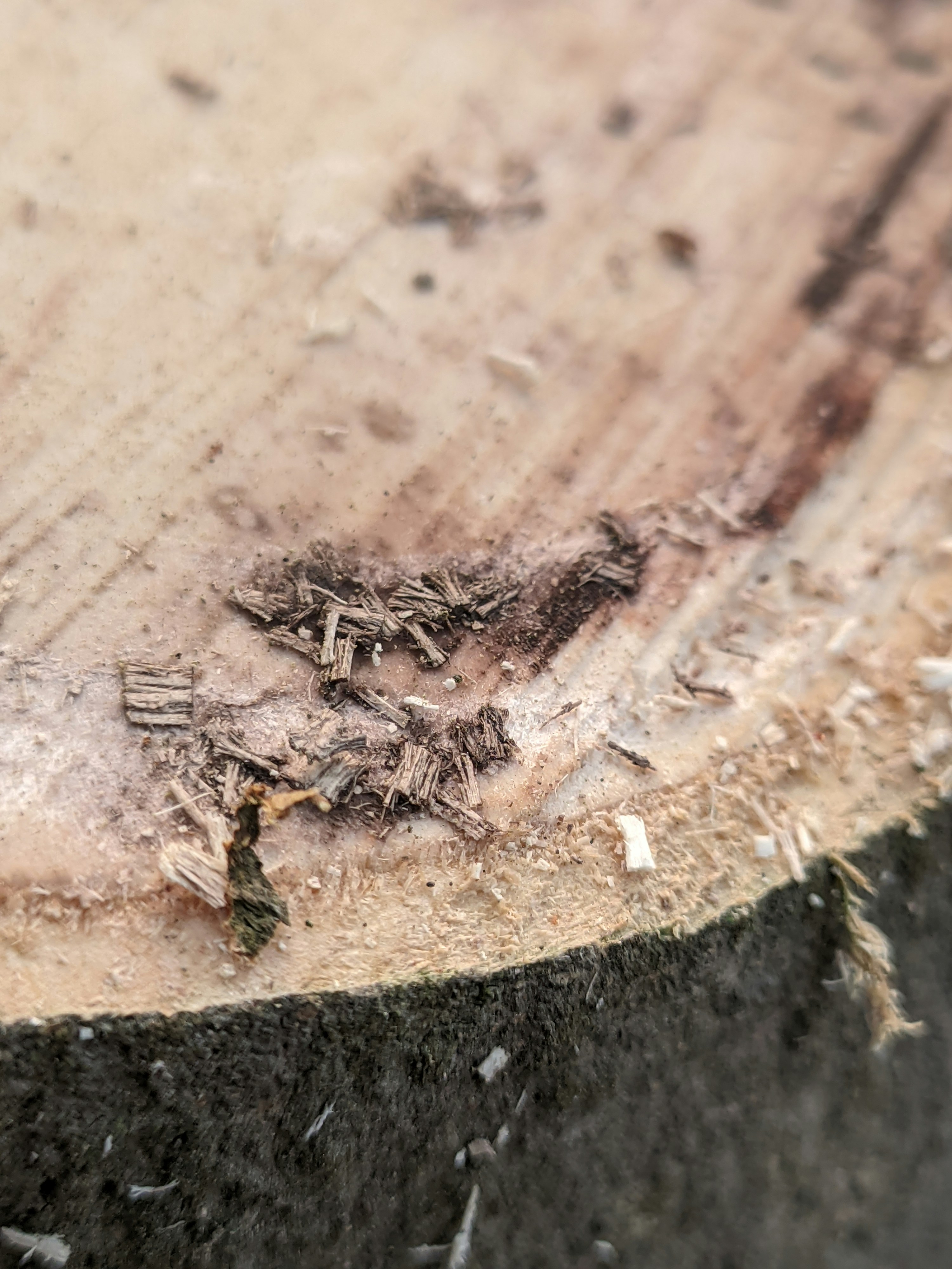 Photo by shotbywoliul