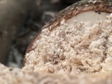 a pile of wood shavings sitting on top of a pile of wood