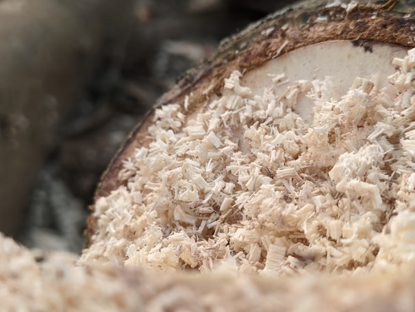 a pile of wood shavings sitting on top of a pile of wood