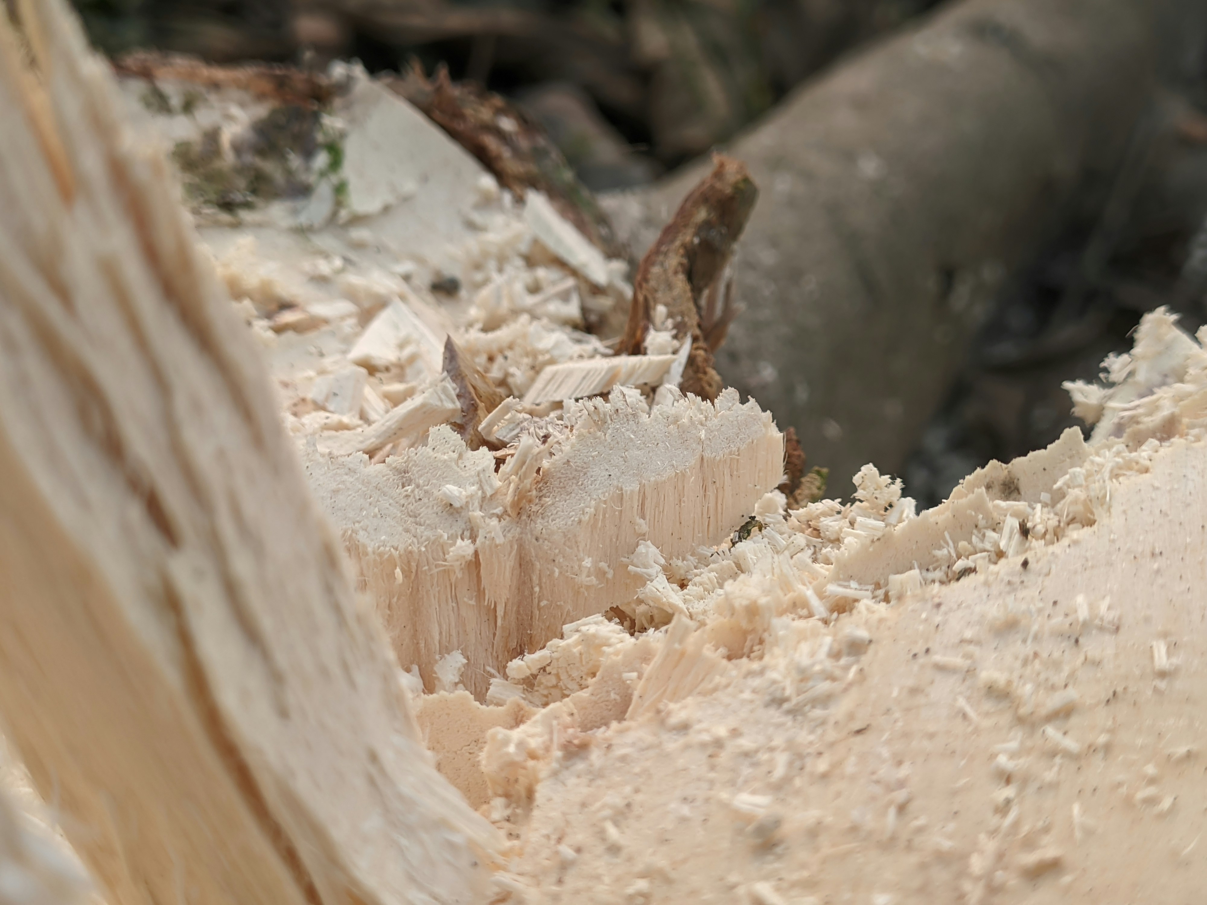 Photo by shotbywoliul