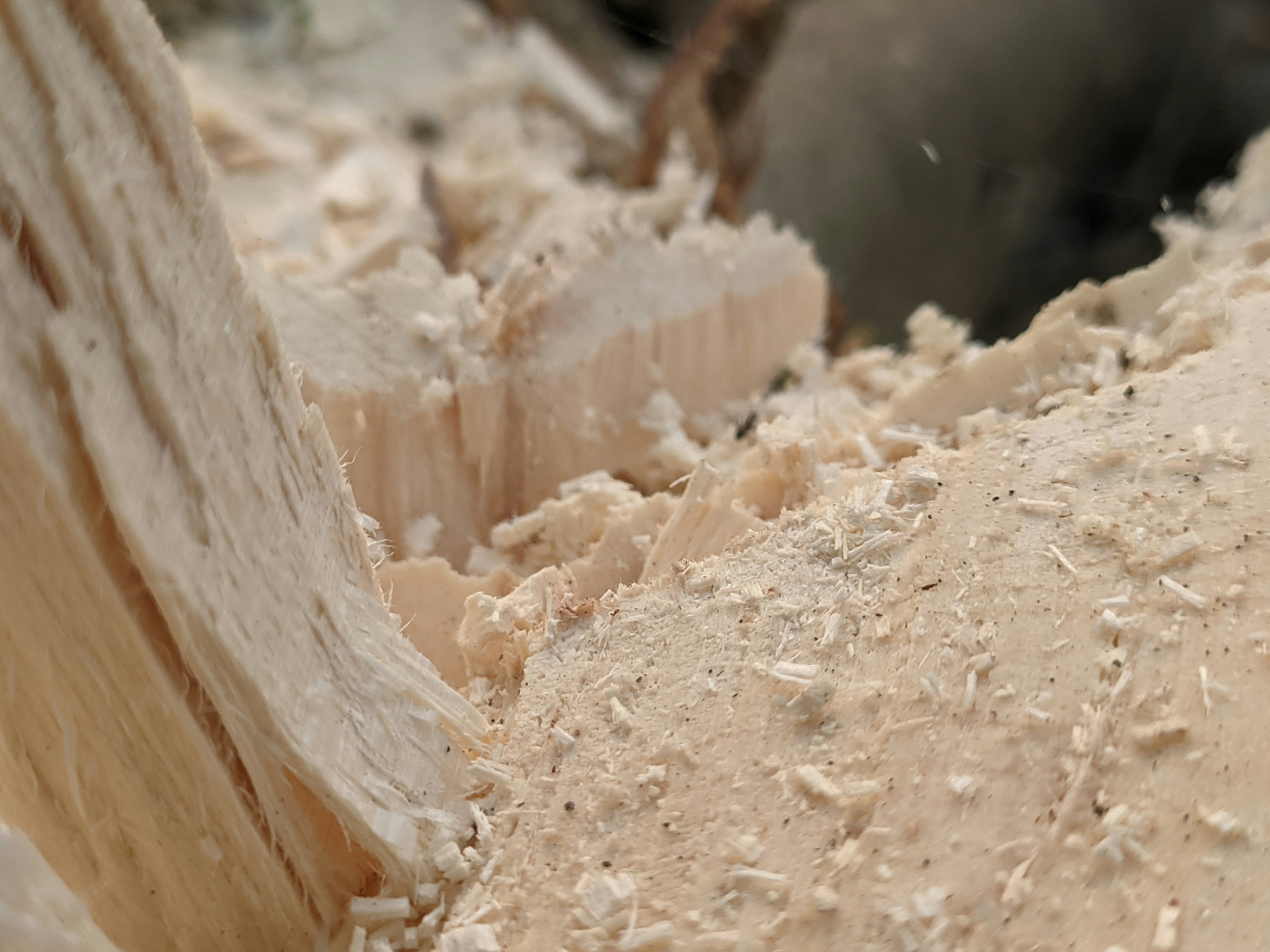 Photo by shotbywoliul