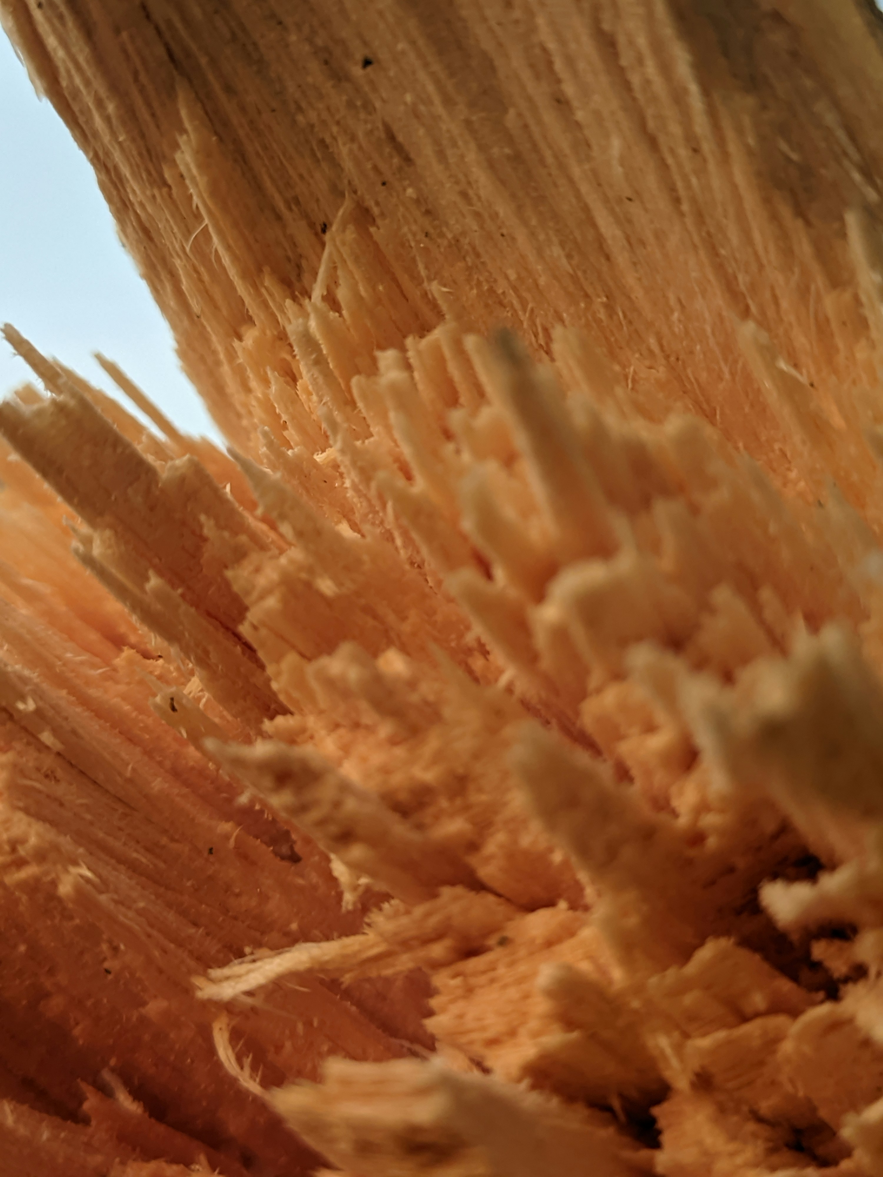 Photo by shotbywoliul