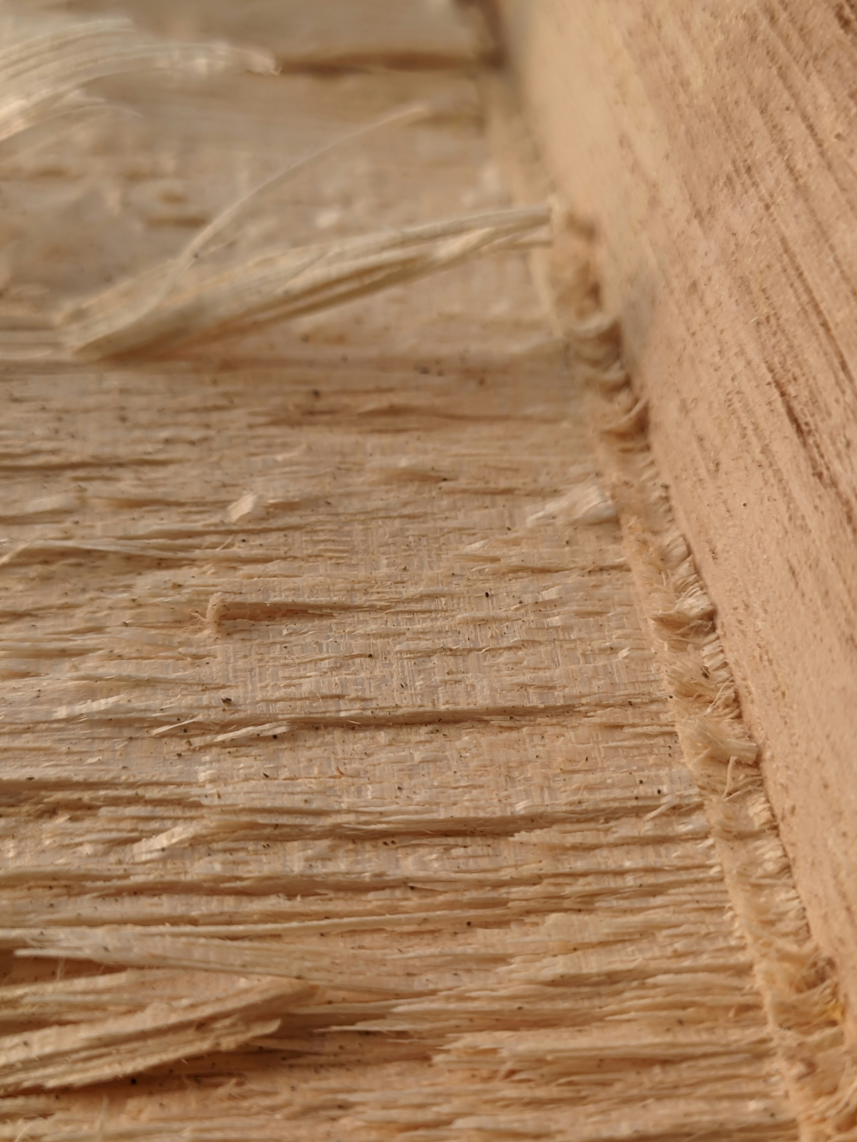 Photo by shotbywoliul