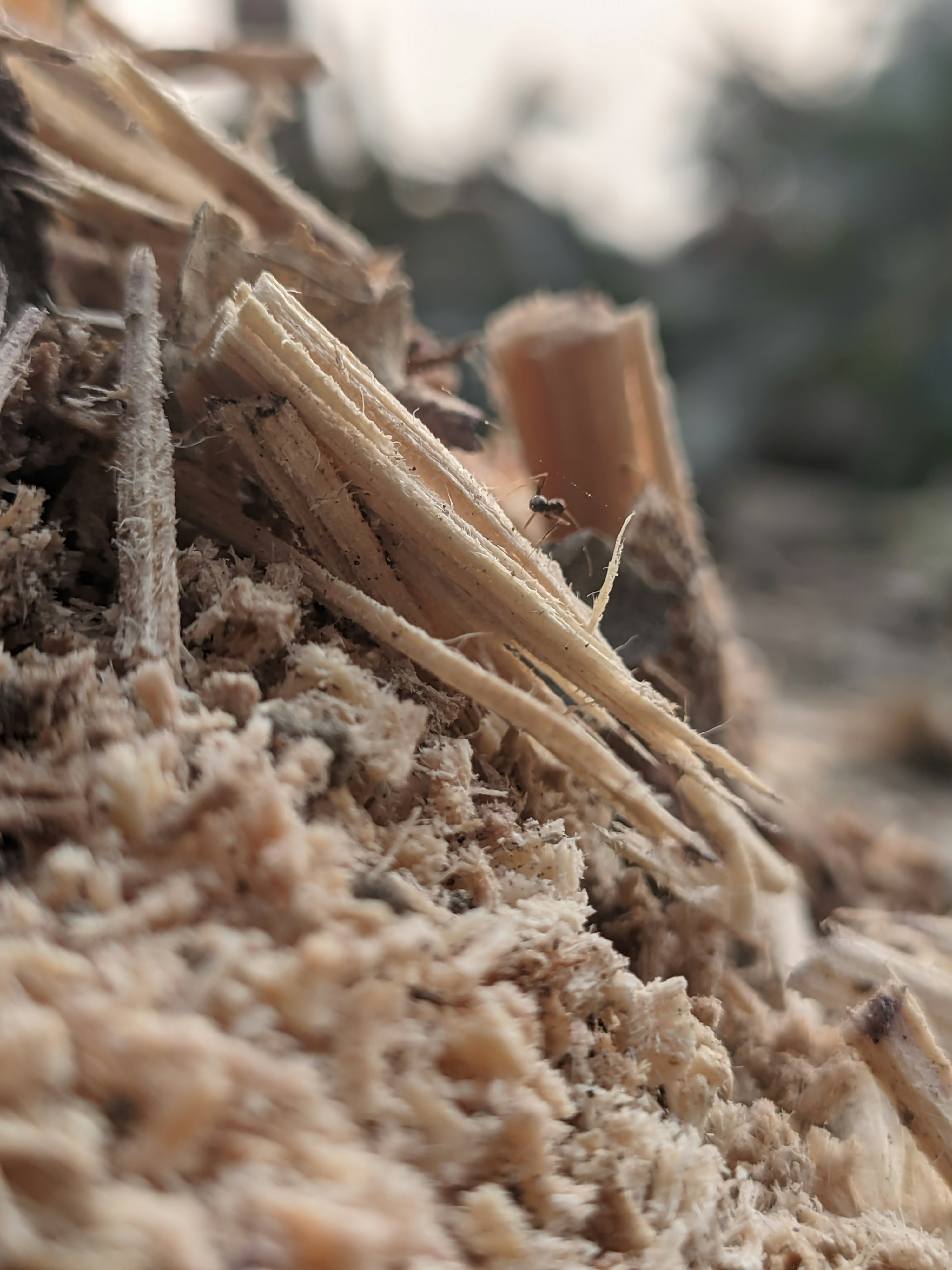 Photo by shotbywoliul