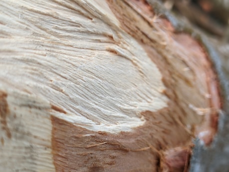 a close up of a piece of wood