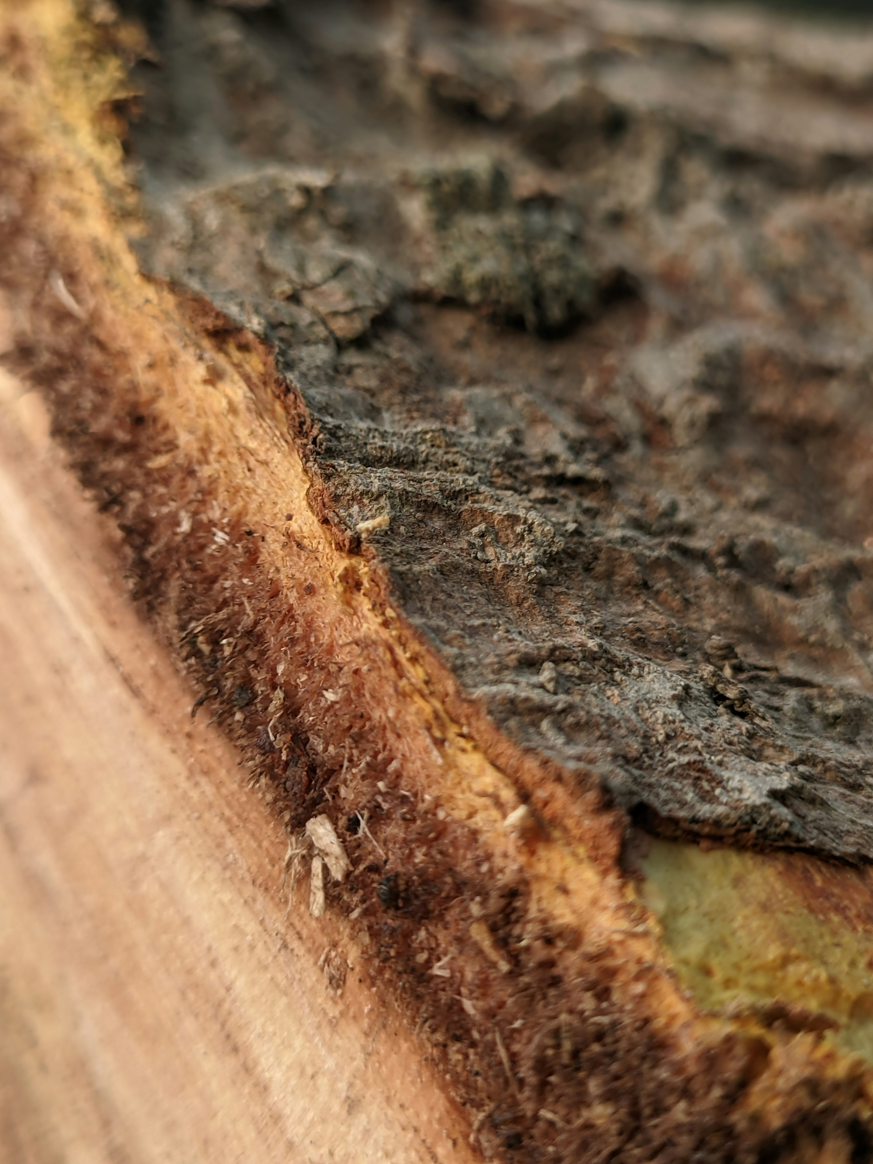 Photo by shotbywoliul