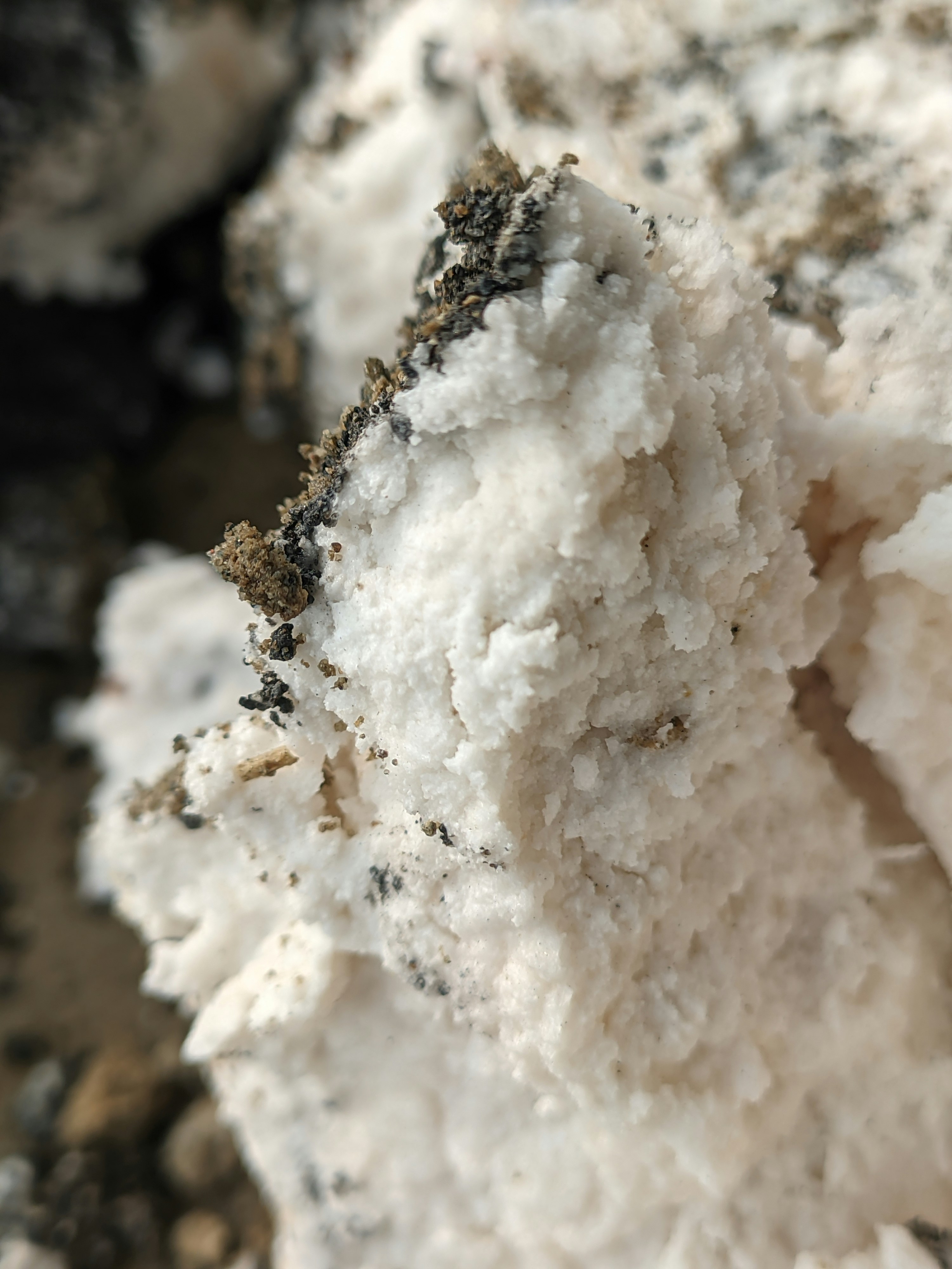 Photo by shotbywoliul