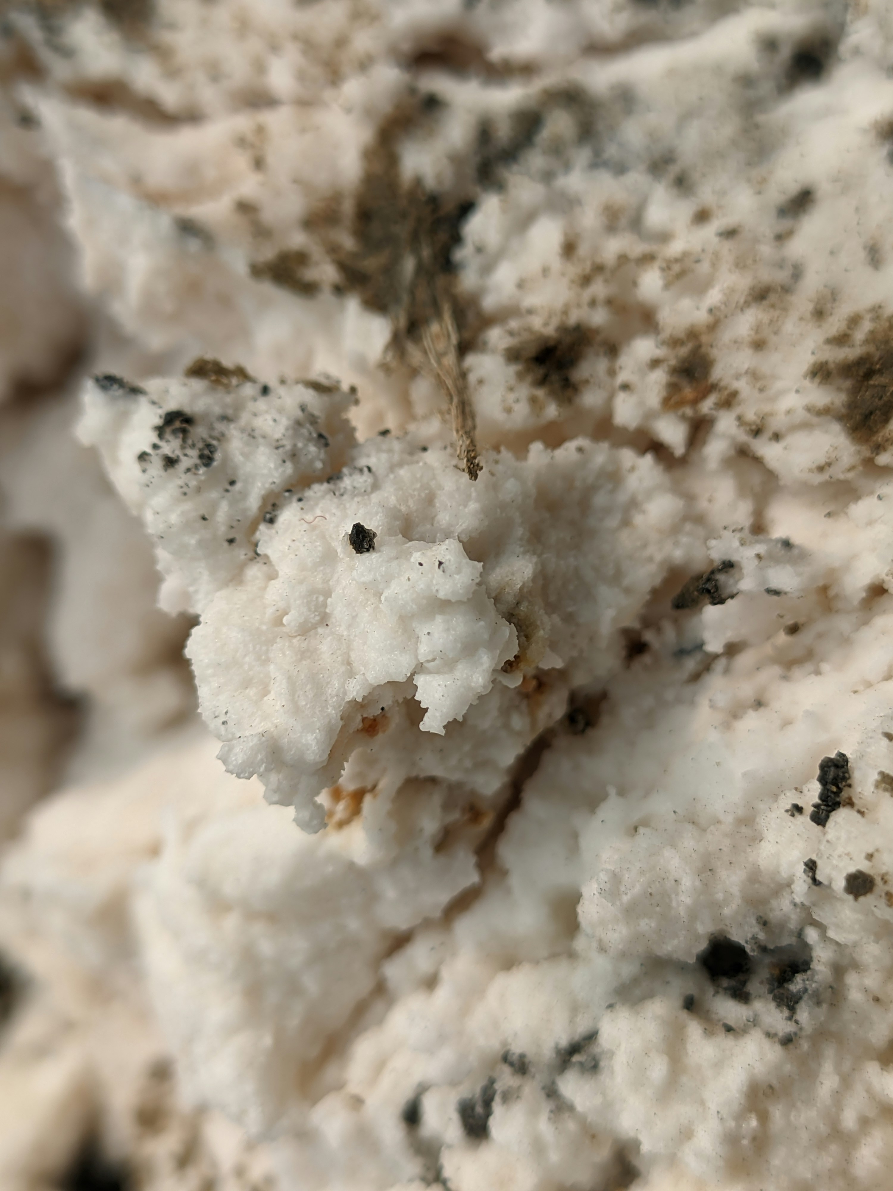 Photo by shotbywoliul