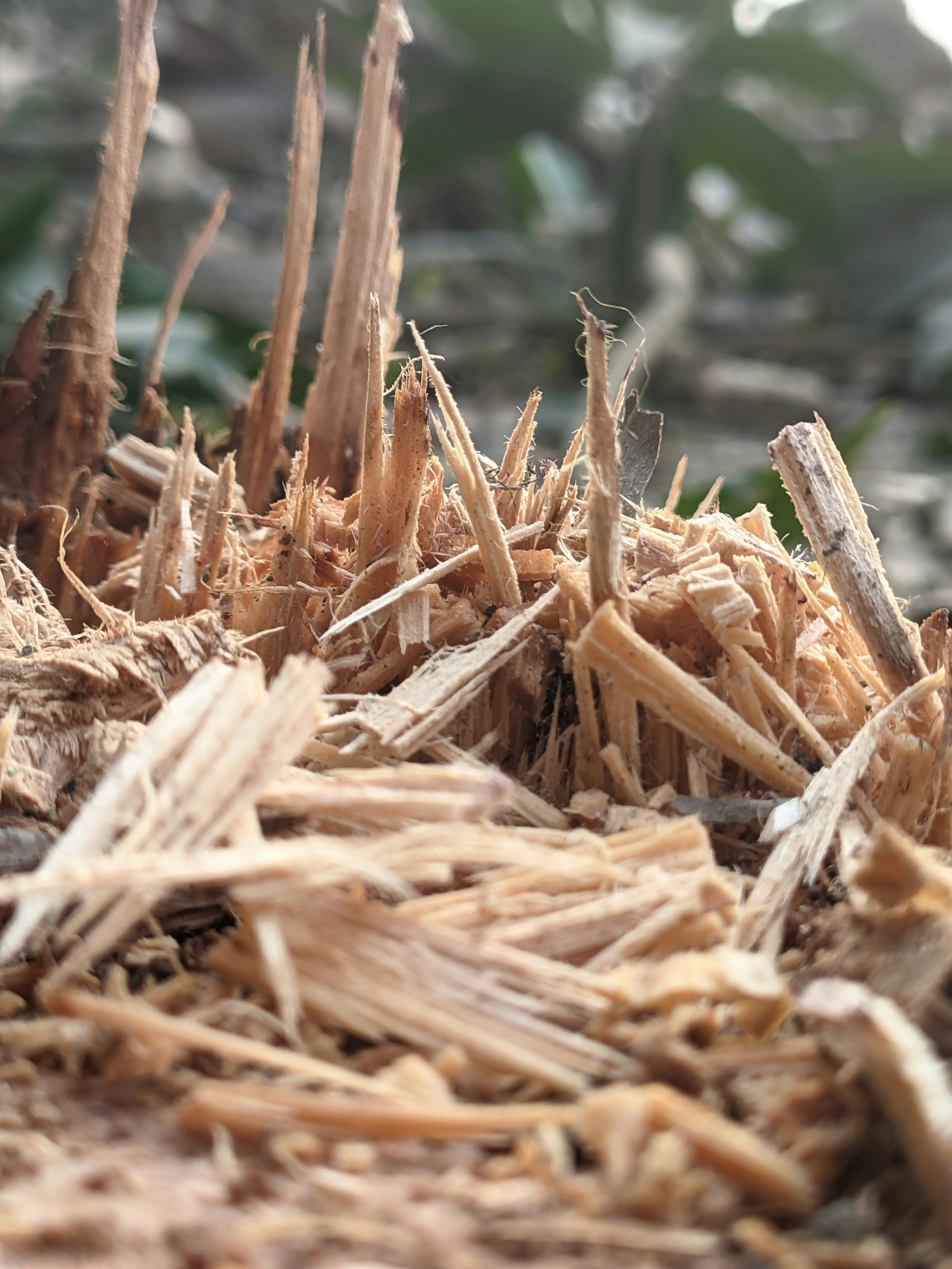 Photo by shotbywoliul