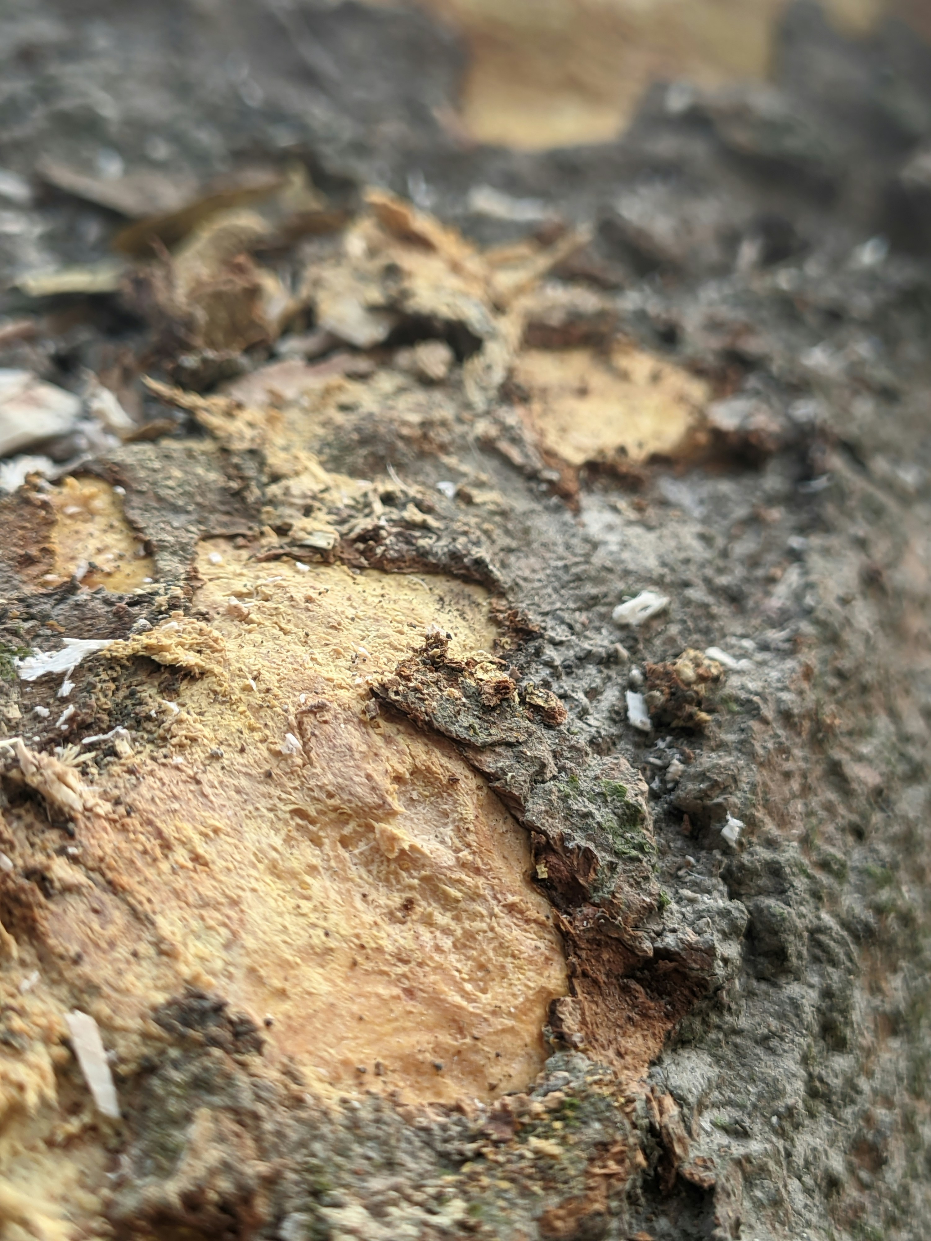 Photo by shotbywoliul