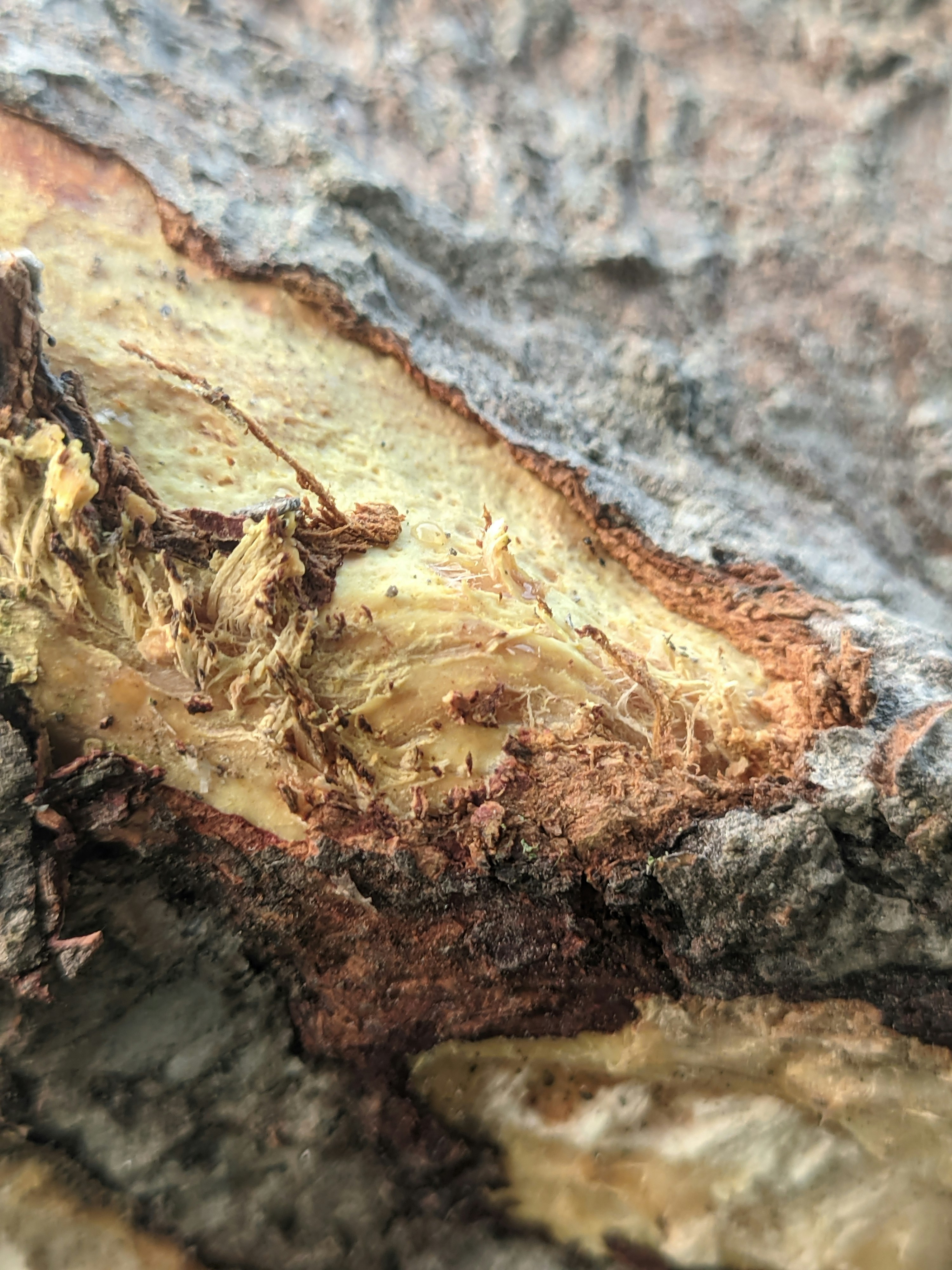 Photo by shotbywoliul