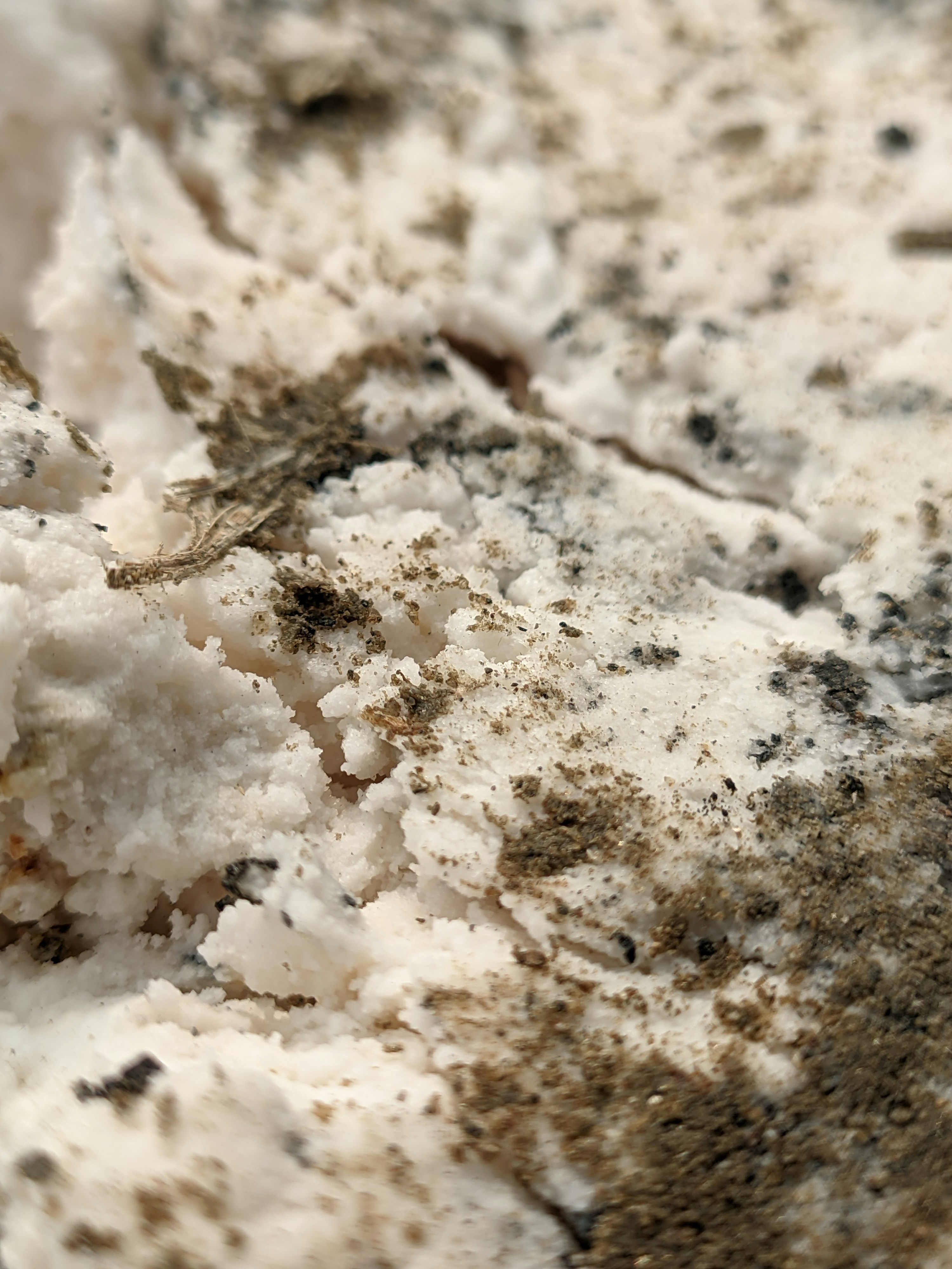 Photo by shotbywoliul