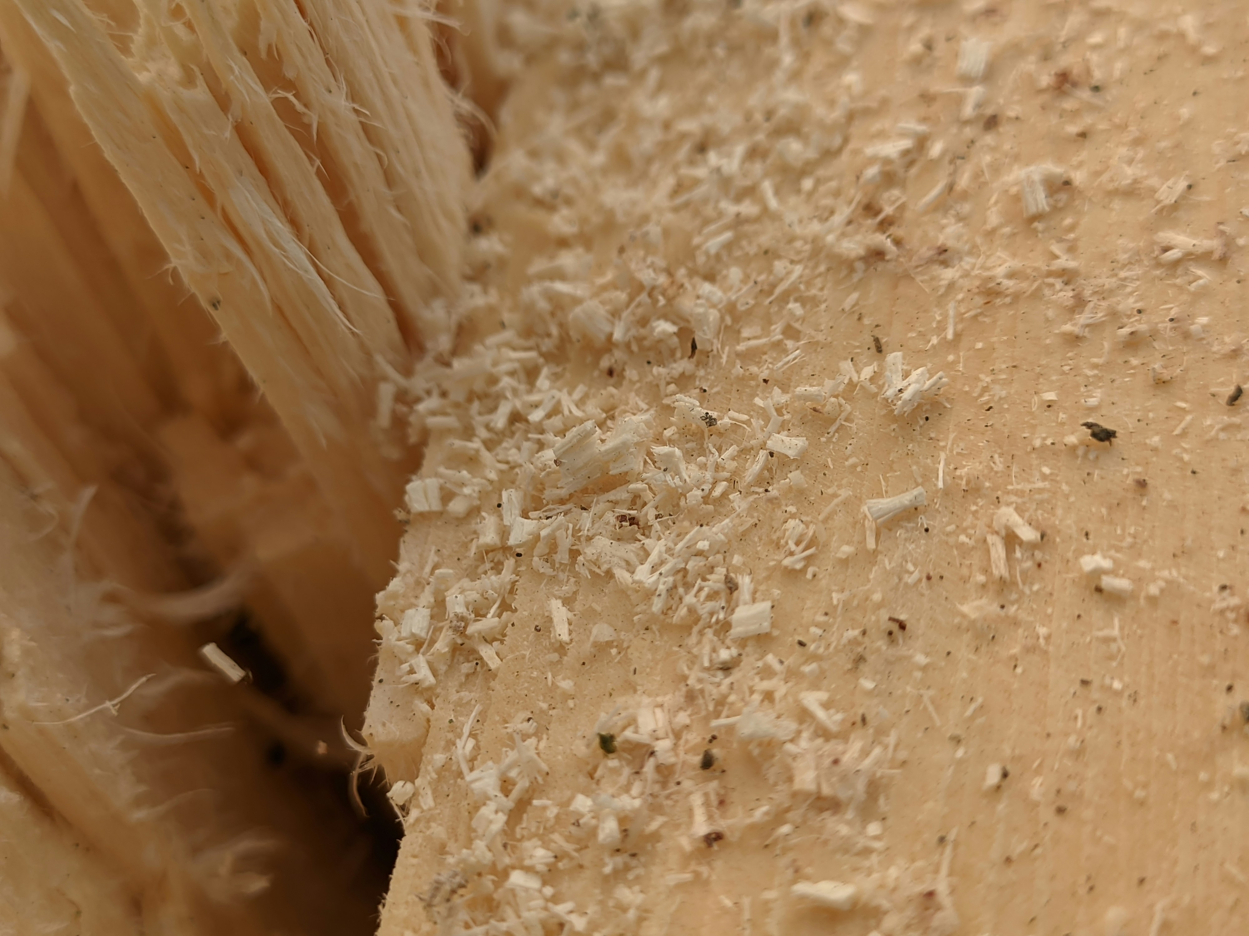 Photo by shotbywoliul