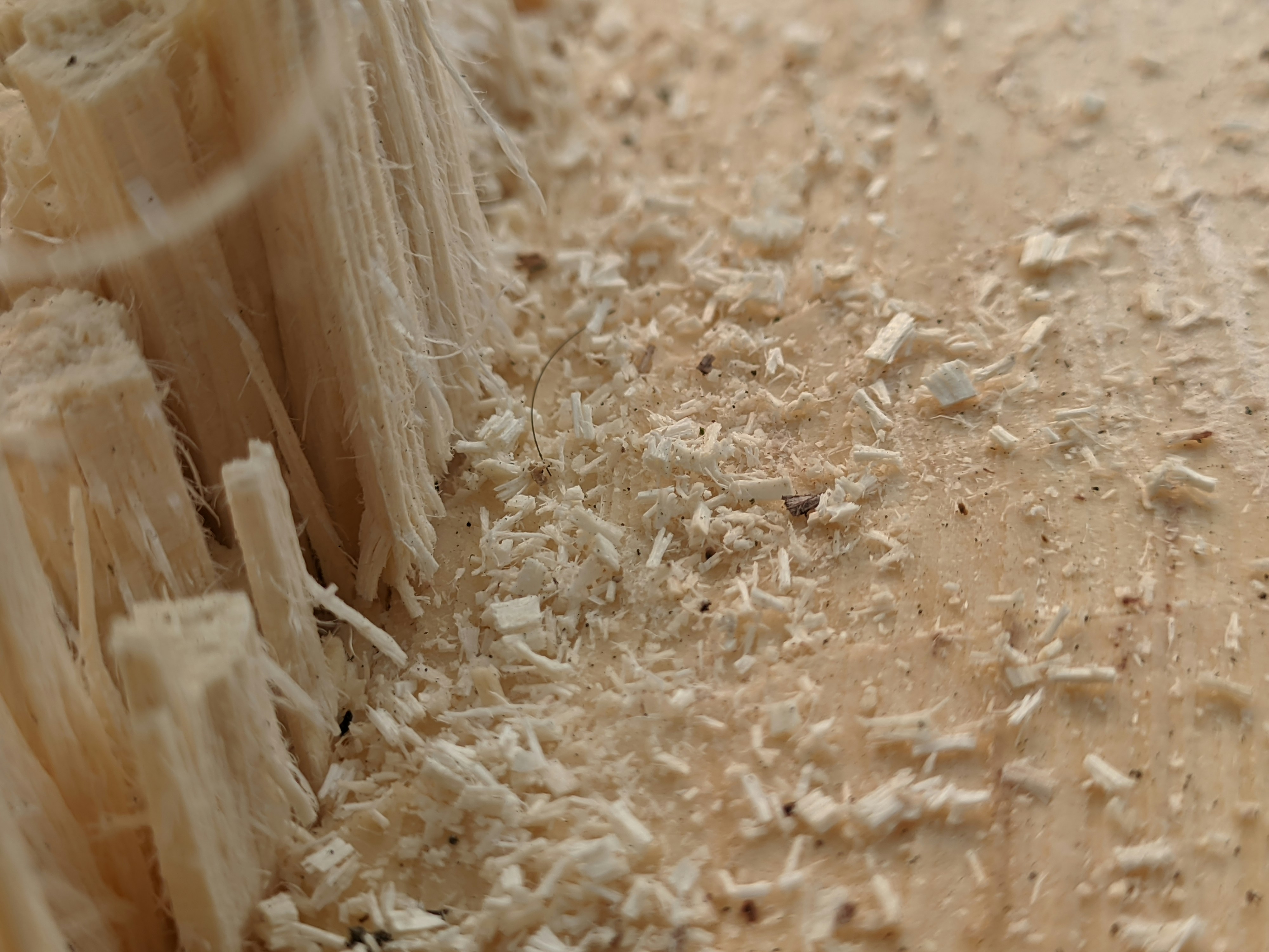 Photo by shotbywoliul