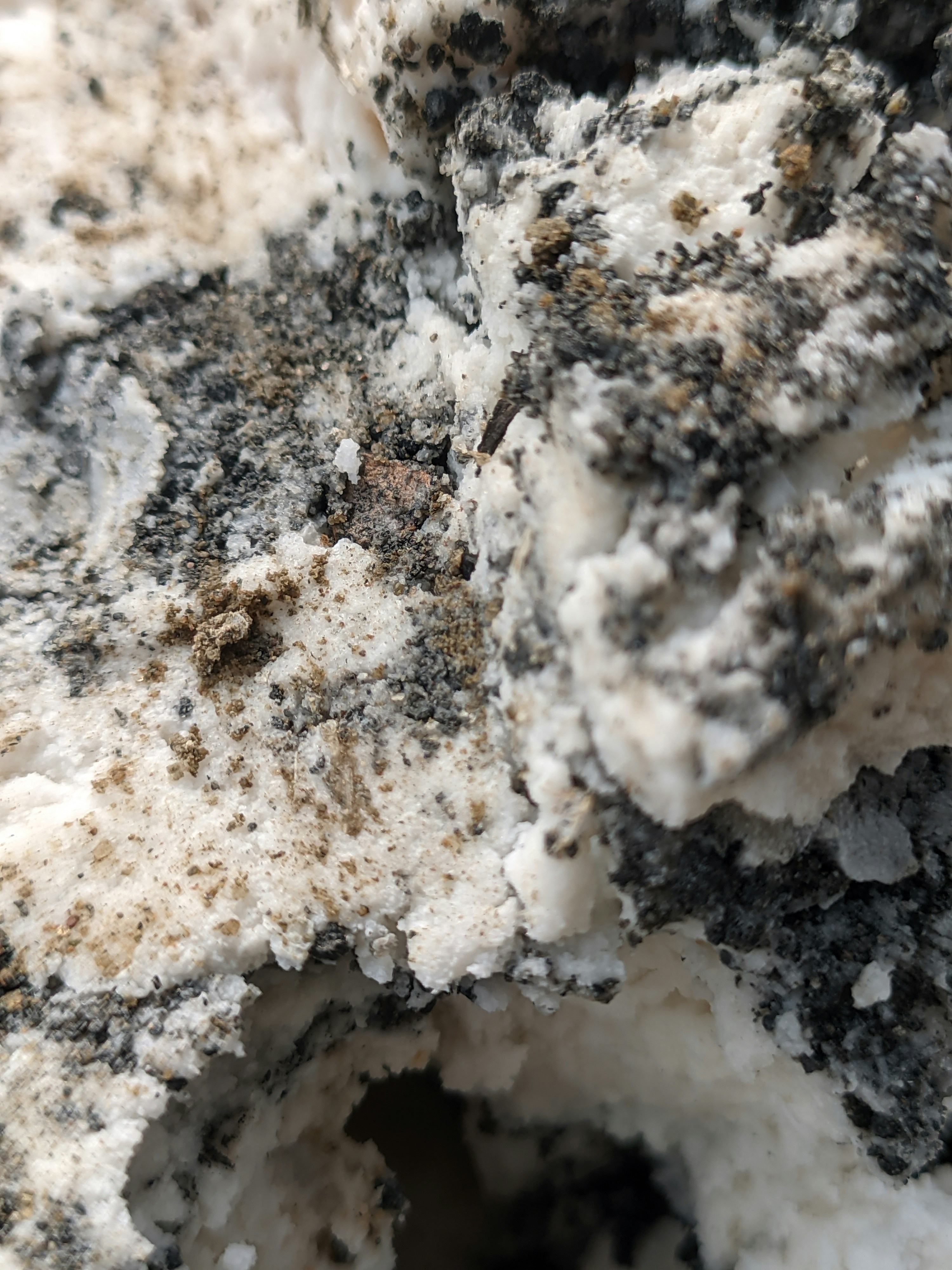 Photo by shotbywoliul