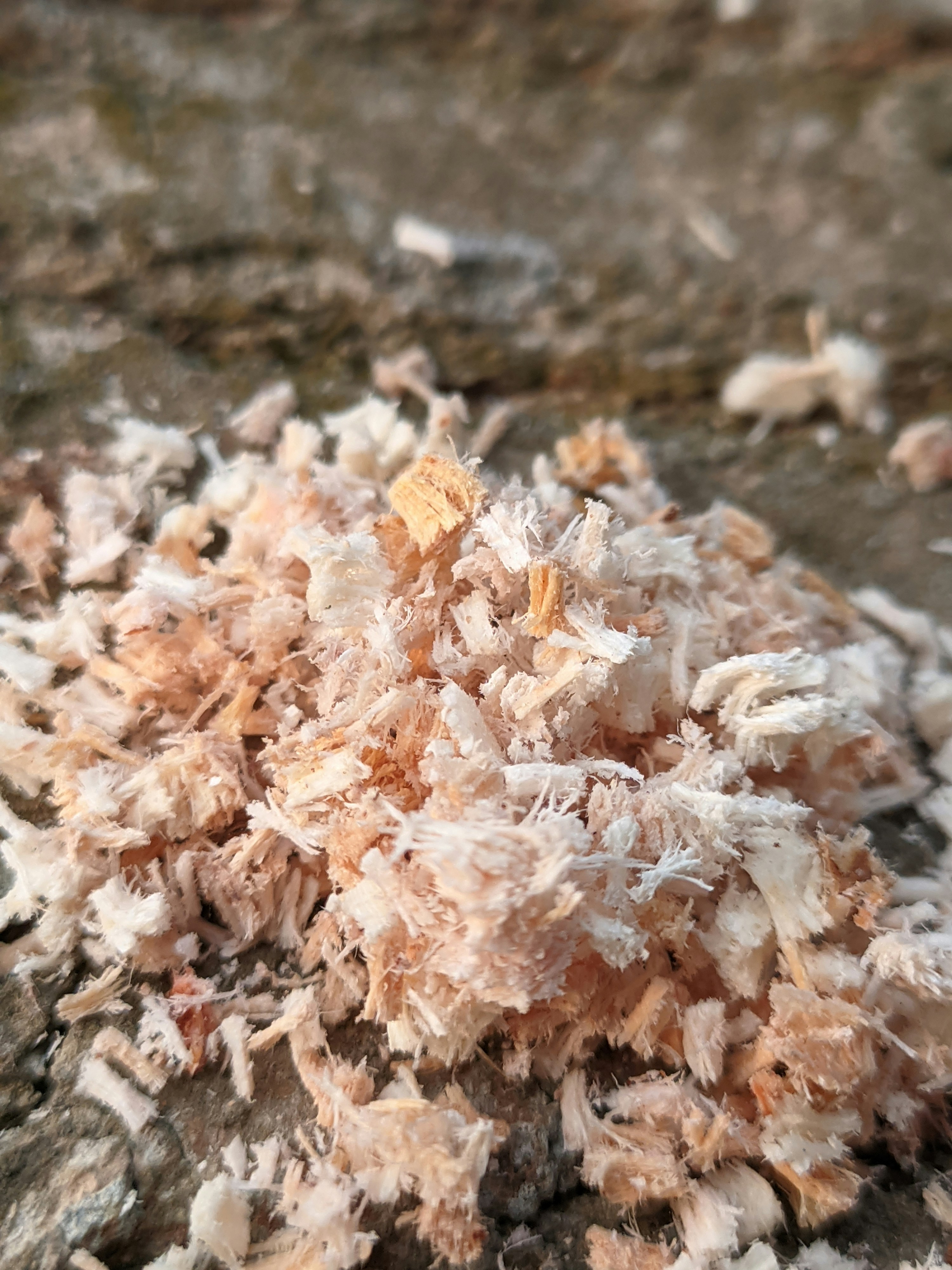 Photo by shotbywoliul