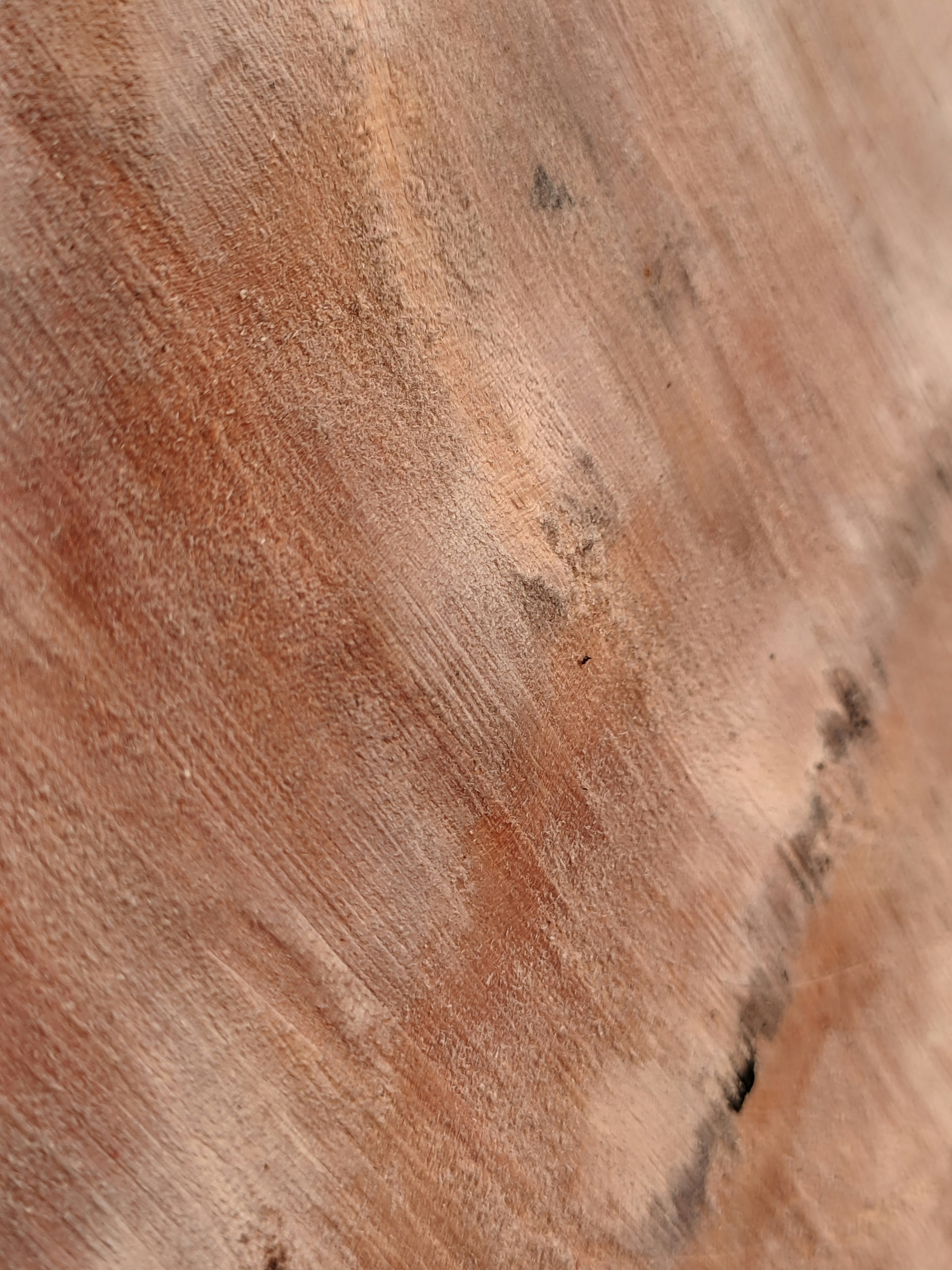 Photo by shotbywoliul