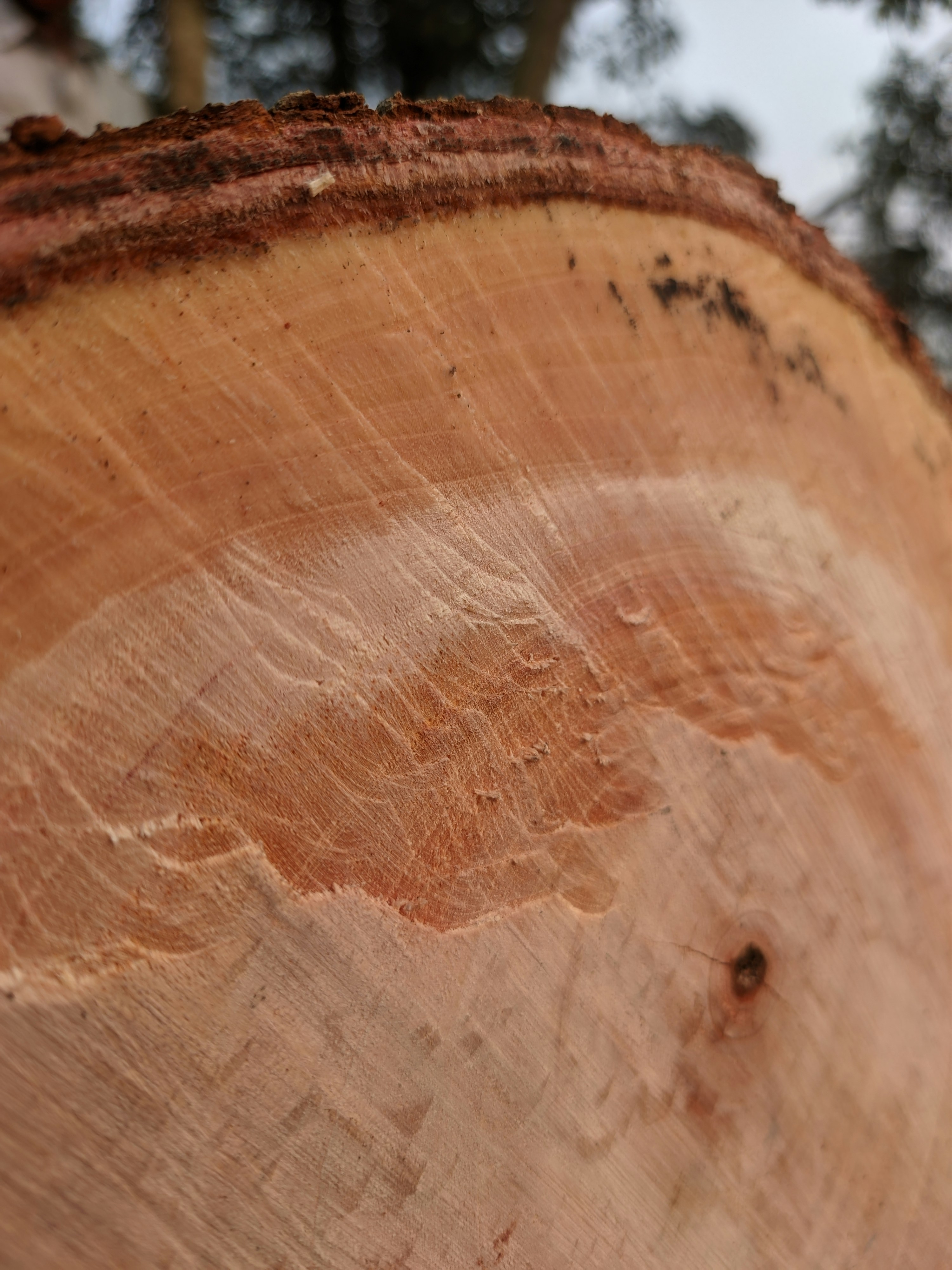 Photo by shotbywoliul