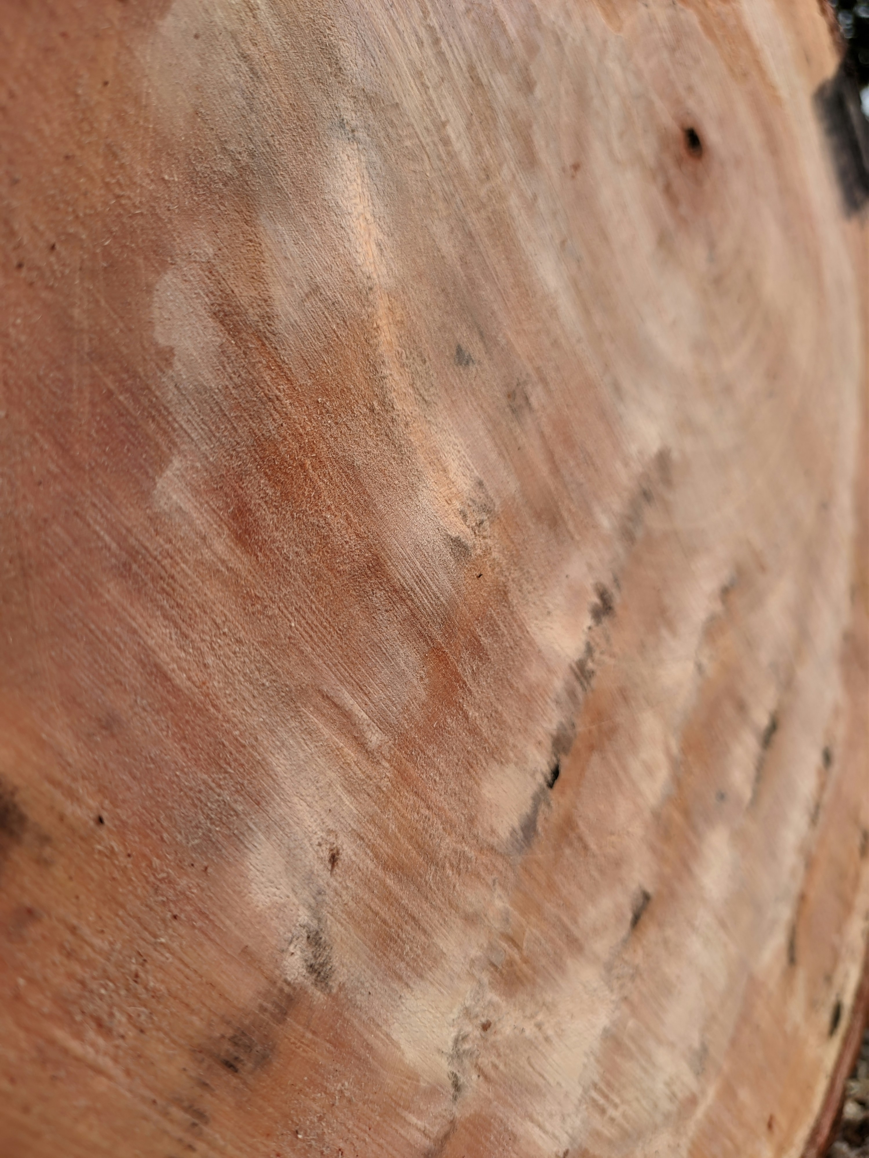 Photo by shotbywoliul