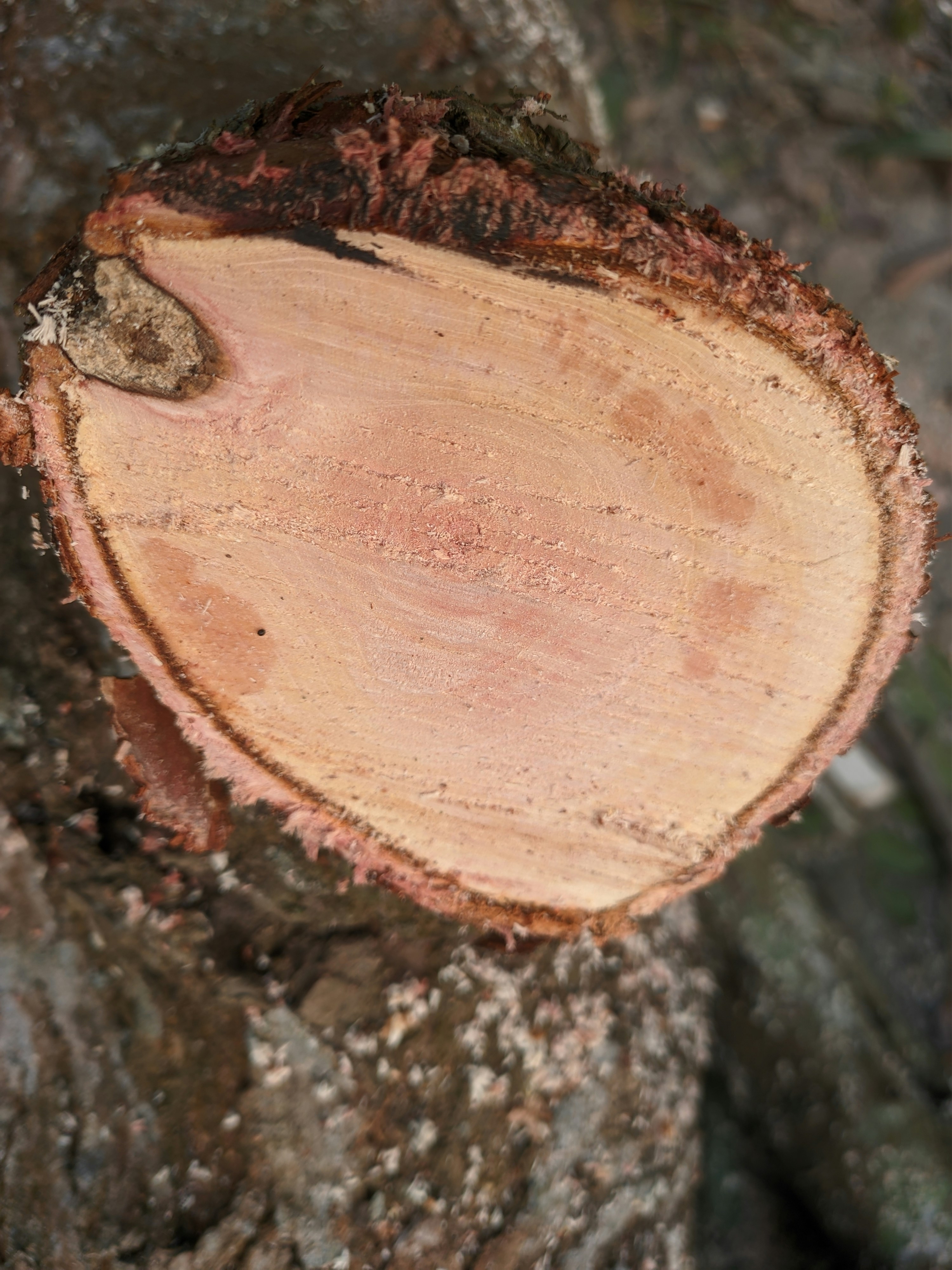 Photo by shotbywoliul